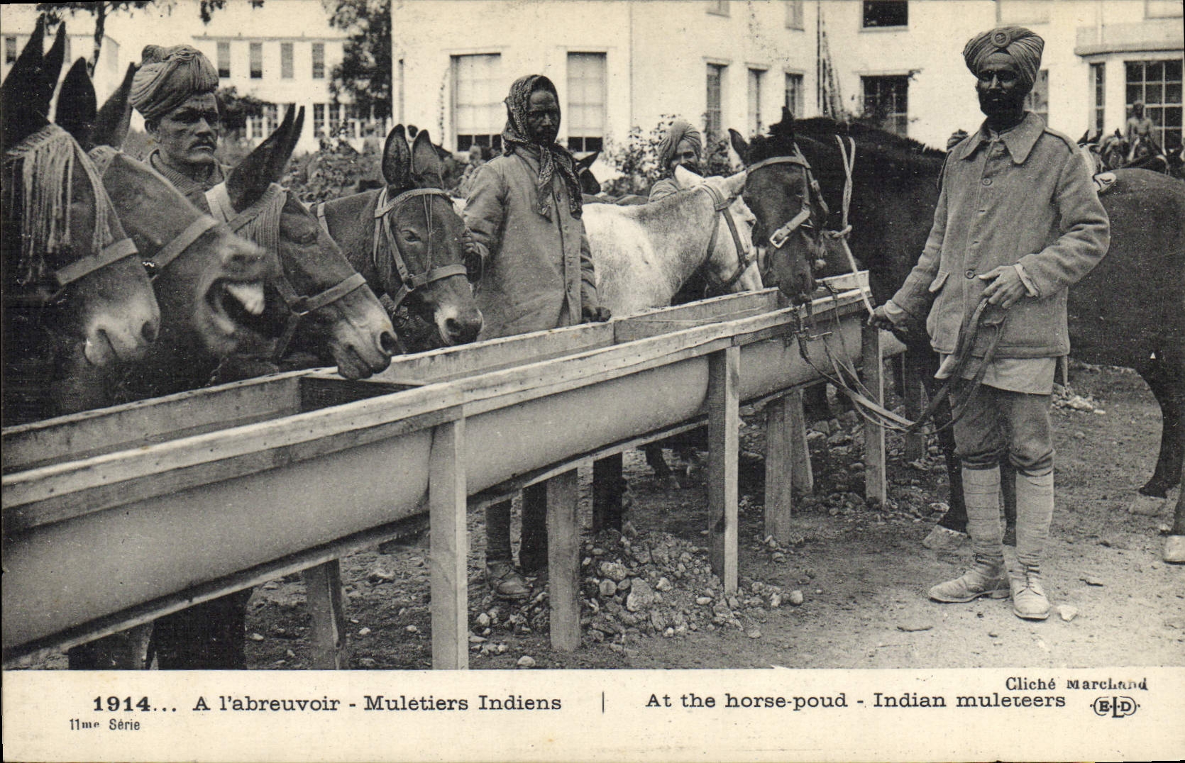 CPA Ane Mule A l'abreuvoir Muletiers indiens Militaria