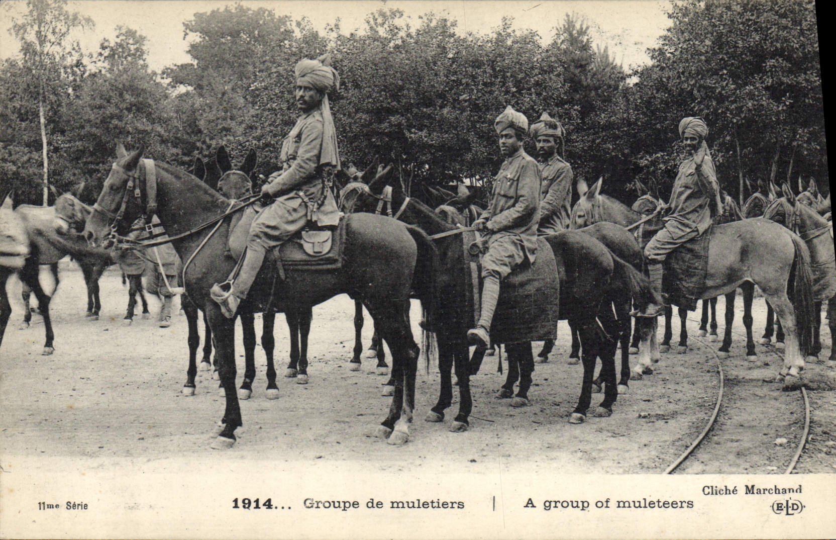 CPA Ane Mule Groupe de muletiers Militaria
