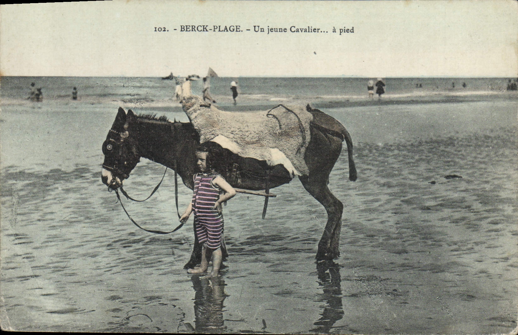 VINTAGE POSTCARD Ass Mule Berck Beach a young rider
