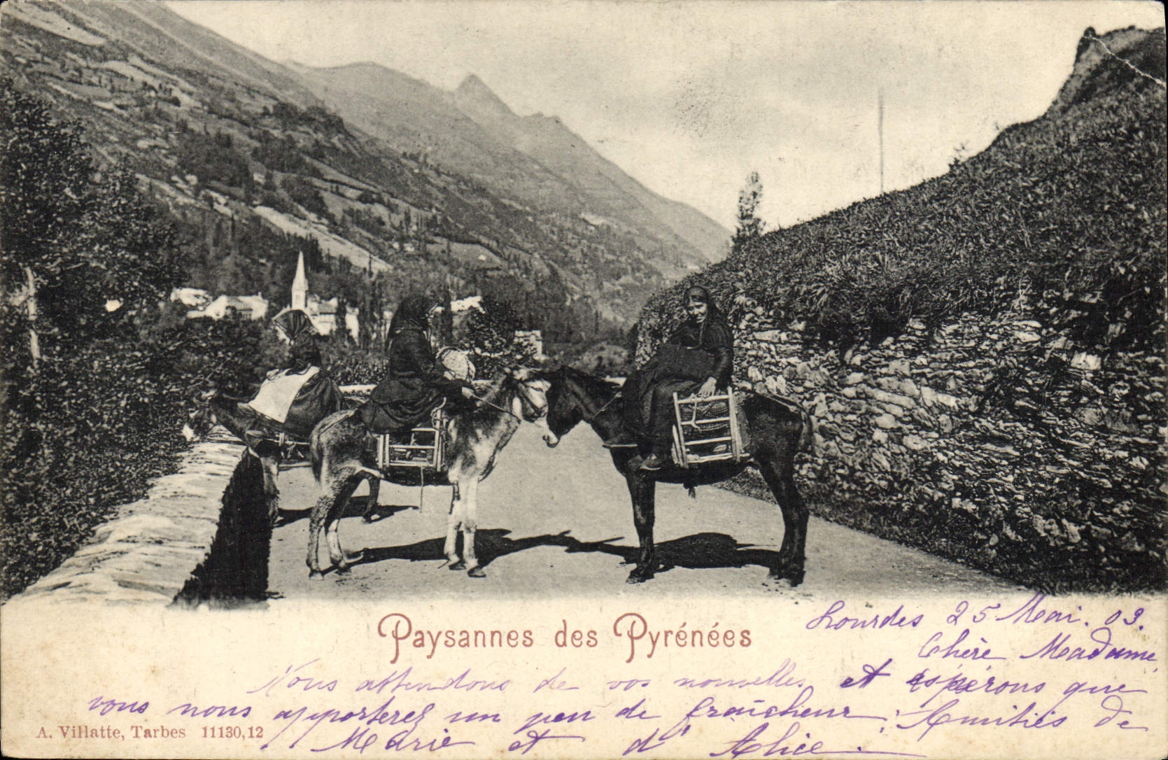 VINTAGE POSTCARD Ass Mule Country-women of the Pyrenees