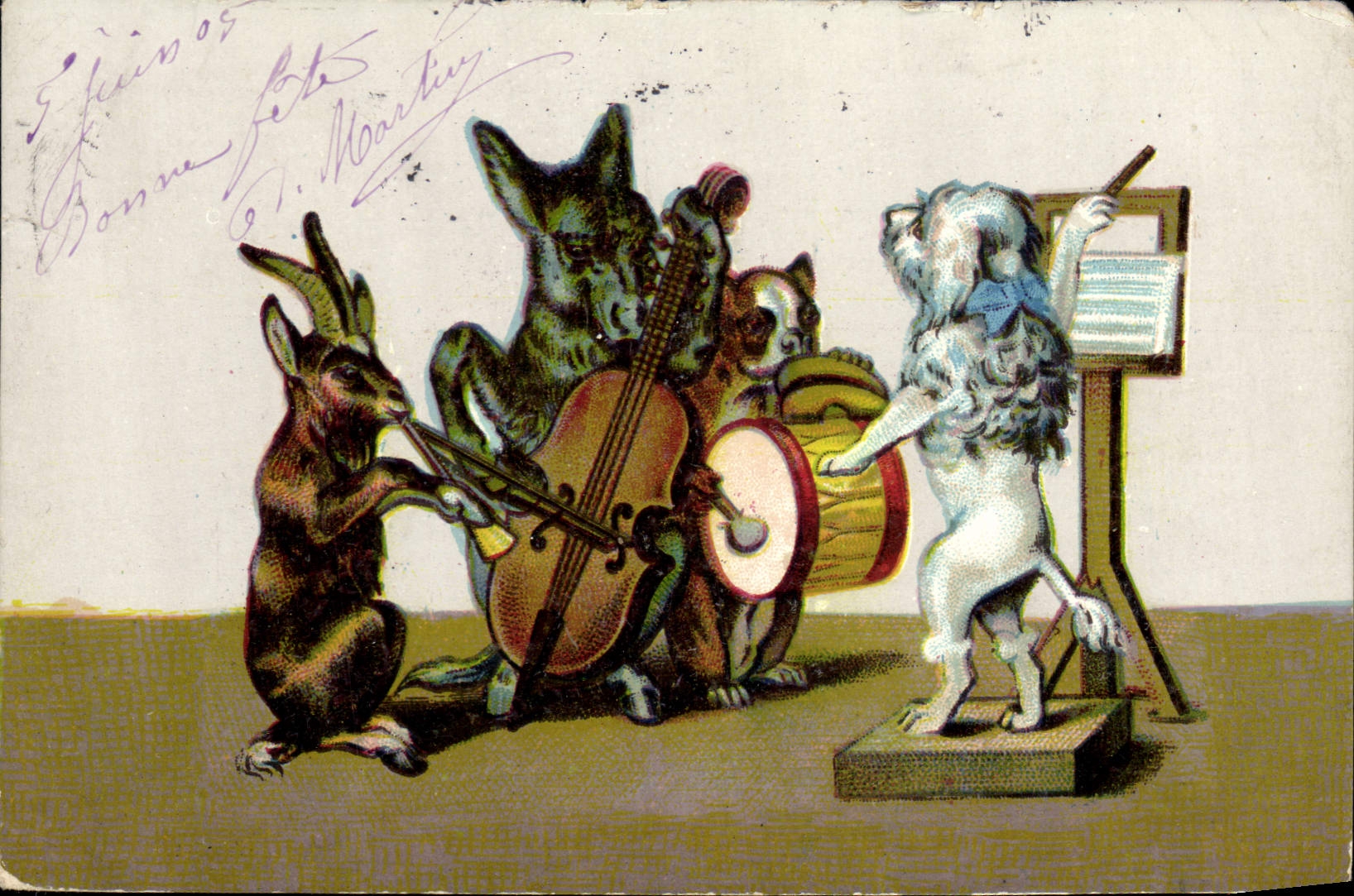 VINTAGE POSTCARD Ass Mule Goat Dog Music
