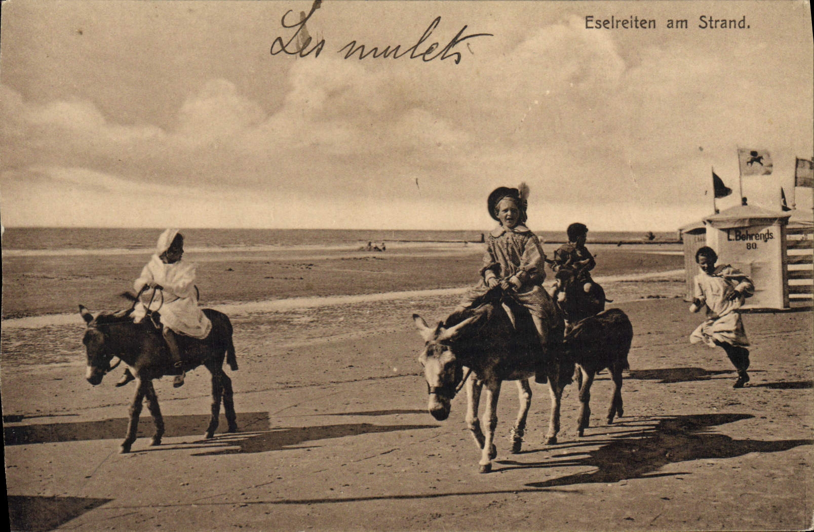 VINTAGE POSTCARD Ass Mule Eselretien amndt Strand