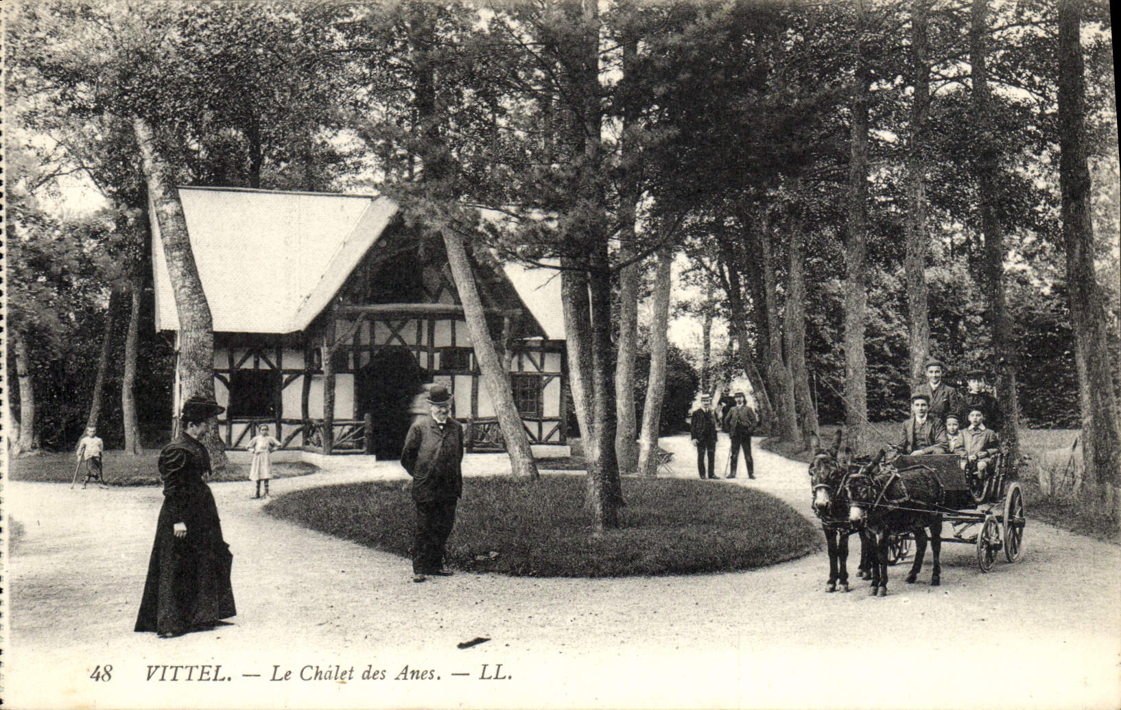 CPA Ane Mule Vittel Le chalet des anes 