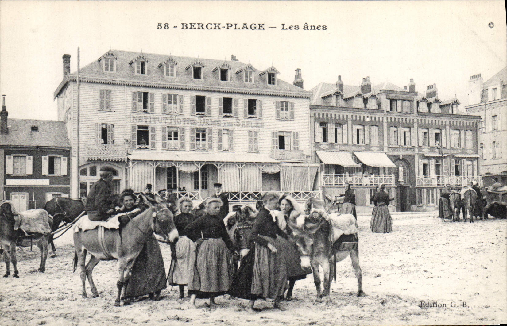 CPA Ane Mule Berck Plage Les anes 