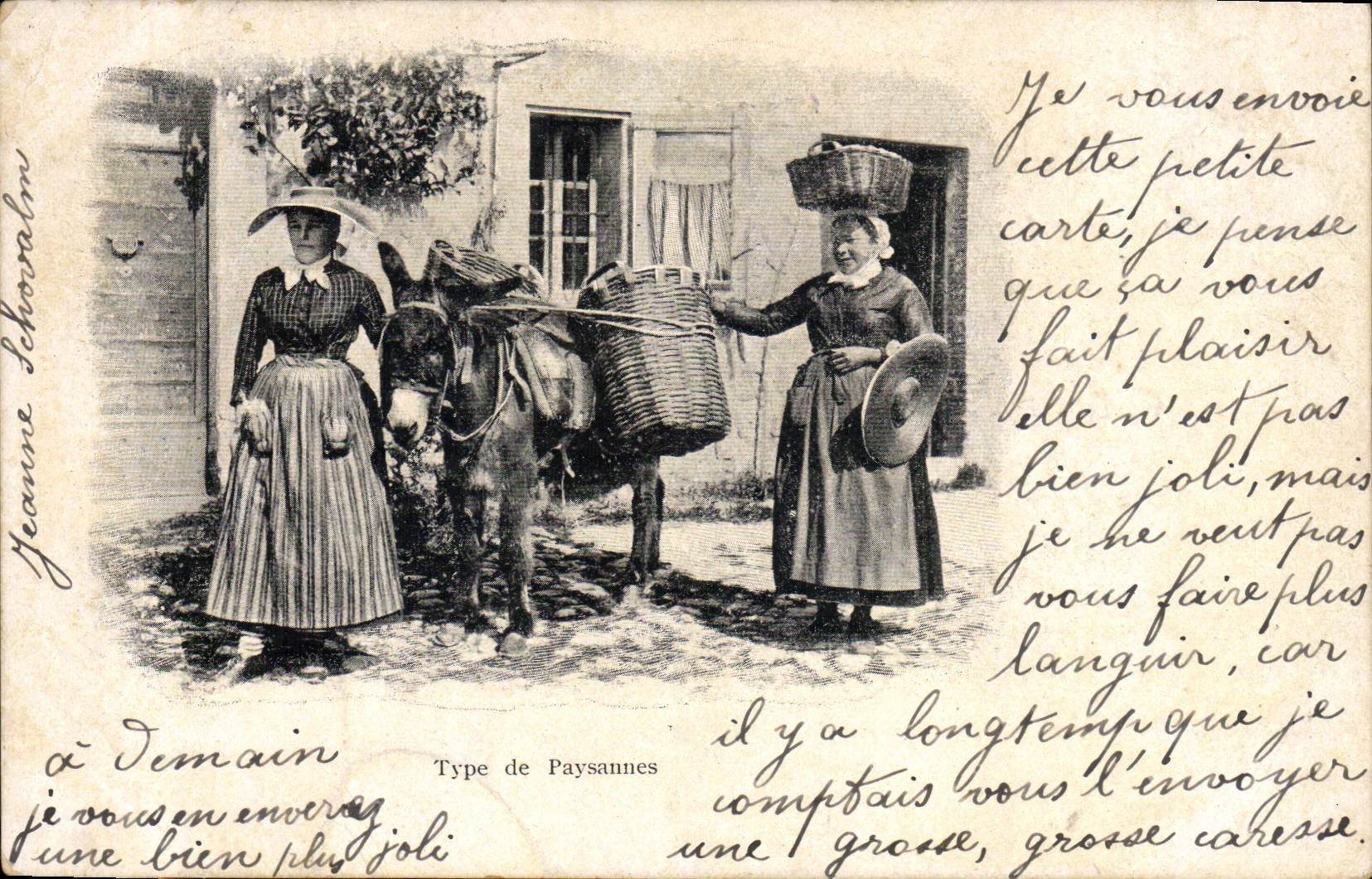 Tipos de la mula del asno de la POSTAL de la VENDIMIA de folklore de las campesinas