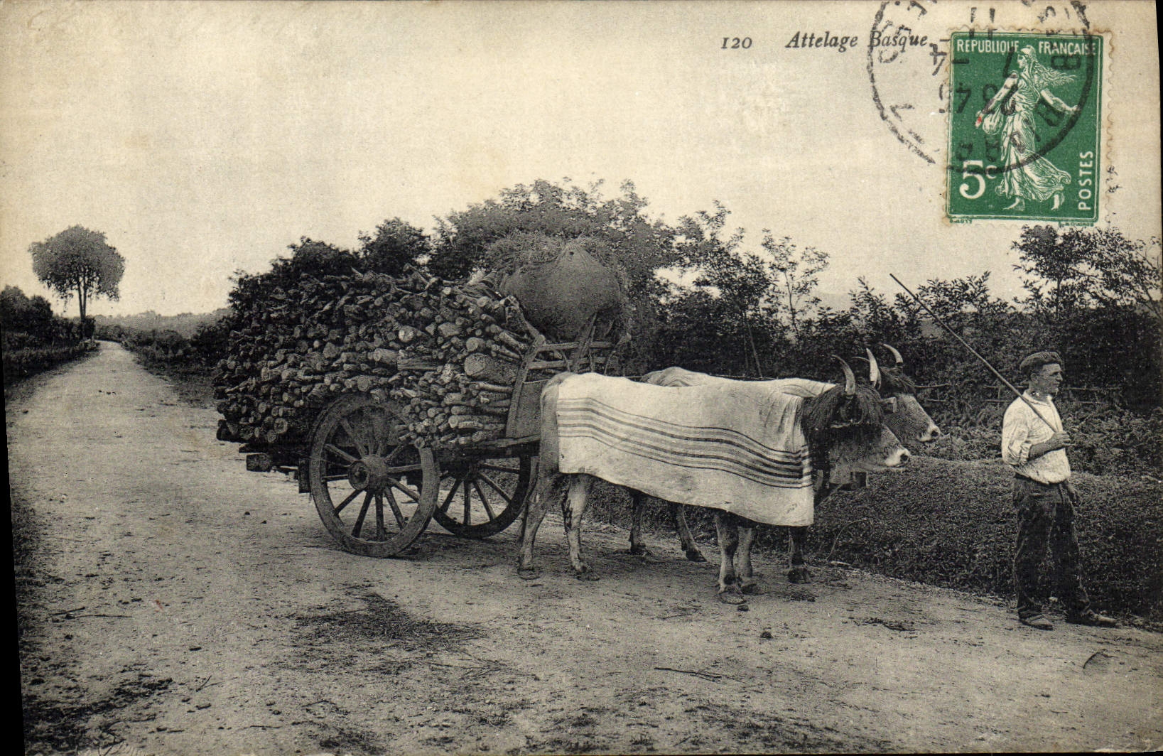 CPA Folklore Attelage basque Boeufs
