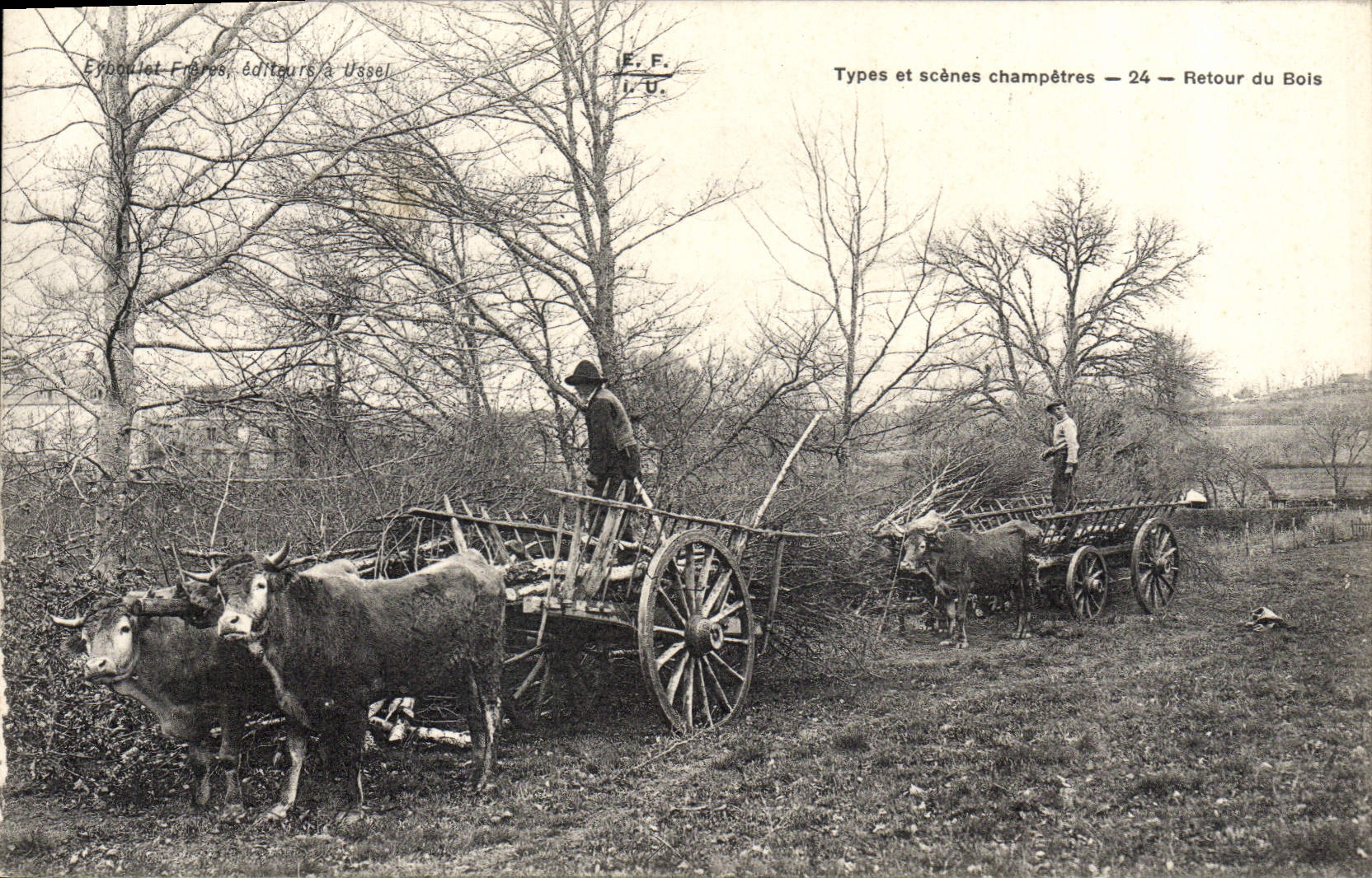 La vuelta del folklore de la POSTAL de la VENDIMIA de las vacas bajas entrena
