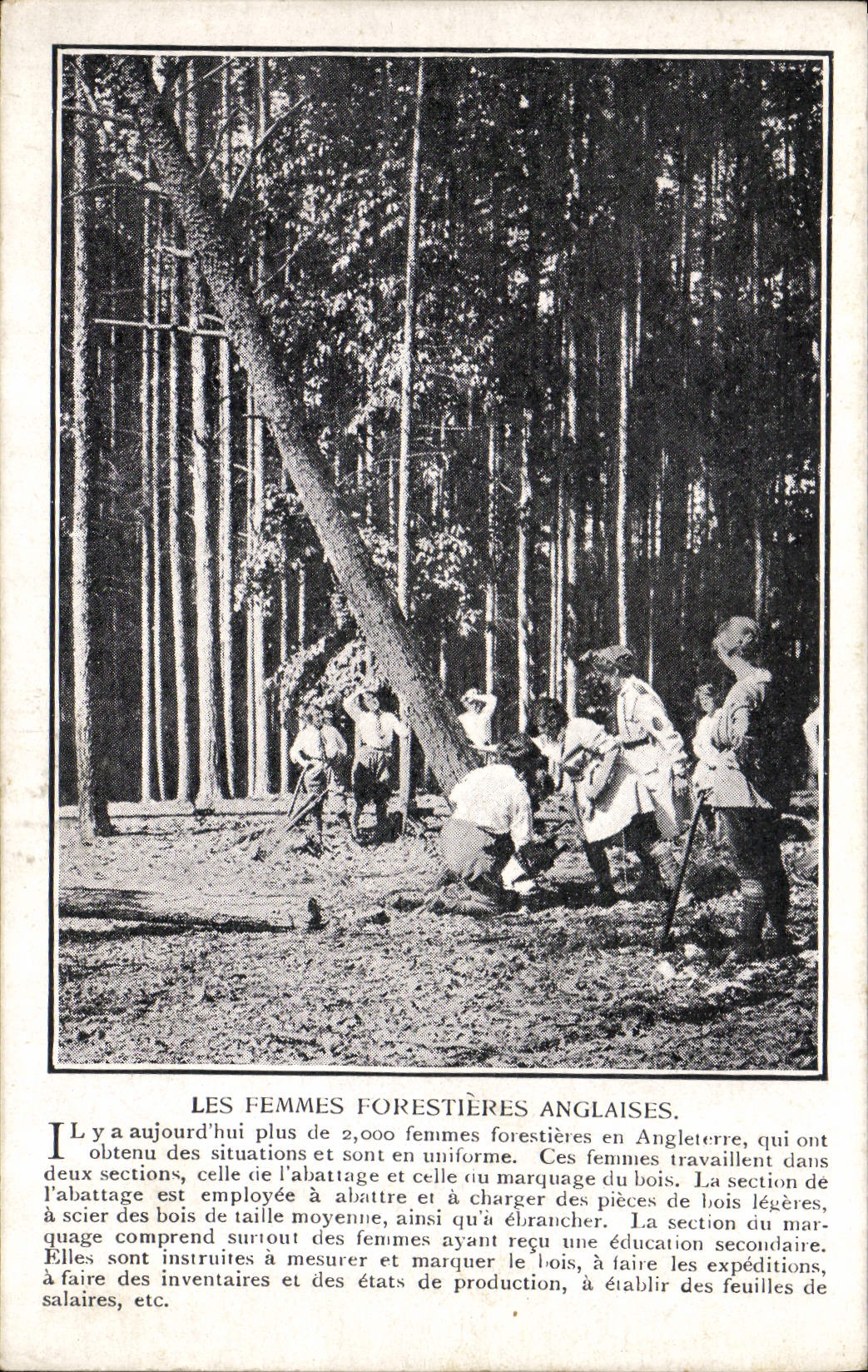 Folklore de la POSTAL de la VENDIMIA los forestieres ingleses de las mujeres