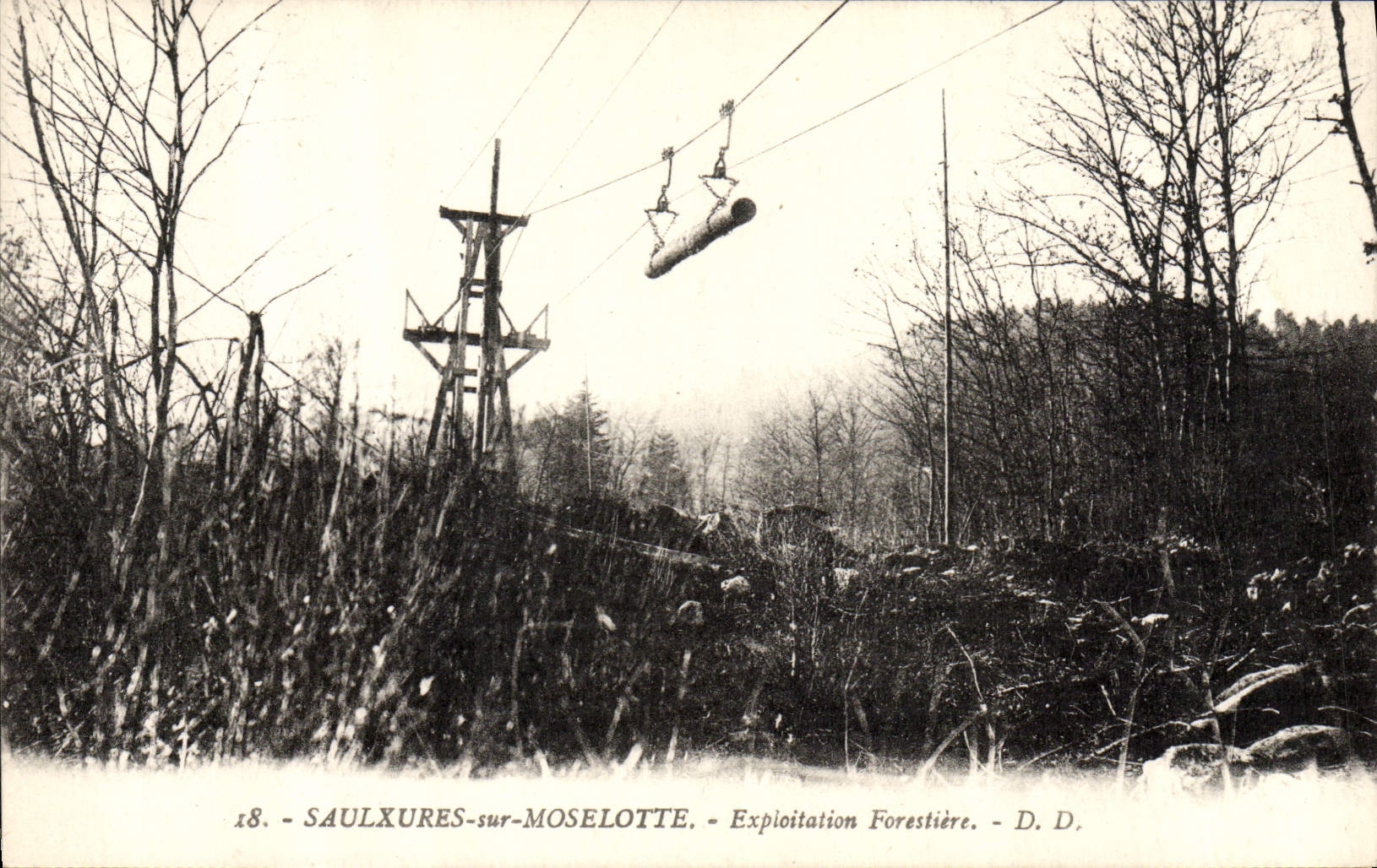 VINTAGE POSTCARD Saulxures on Moselotte Exploitation forestiere