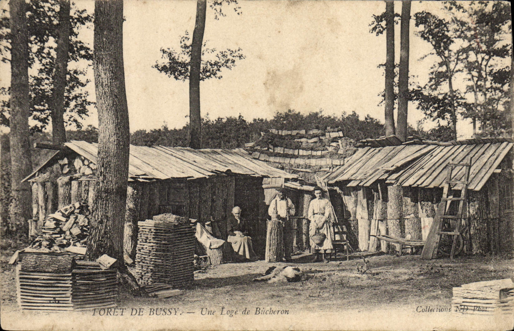 VINTAGE POSTCARD Drill of Bussy a cabin of logger