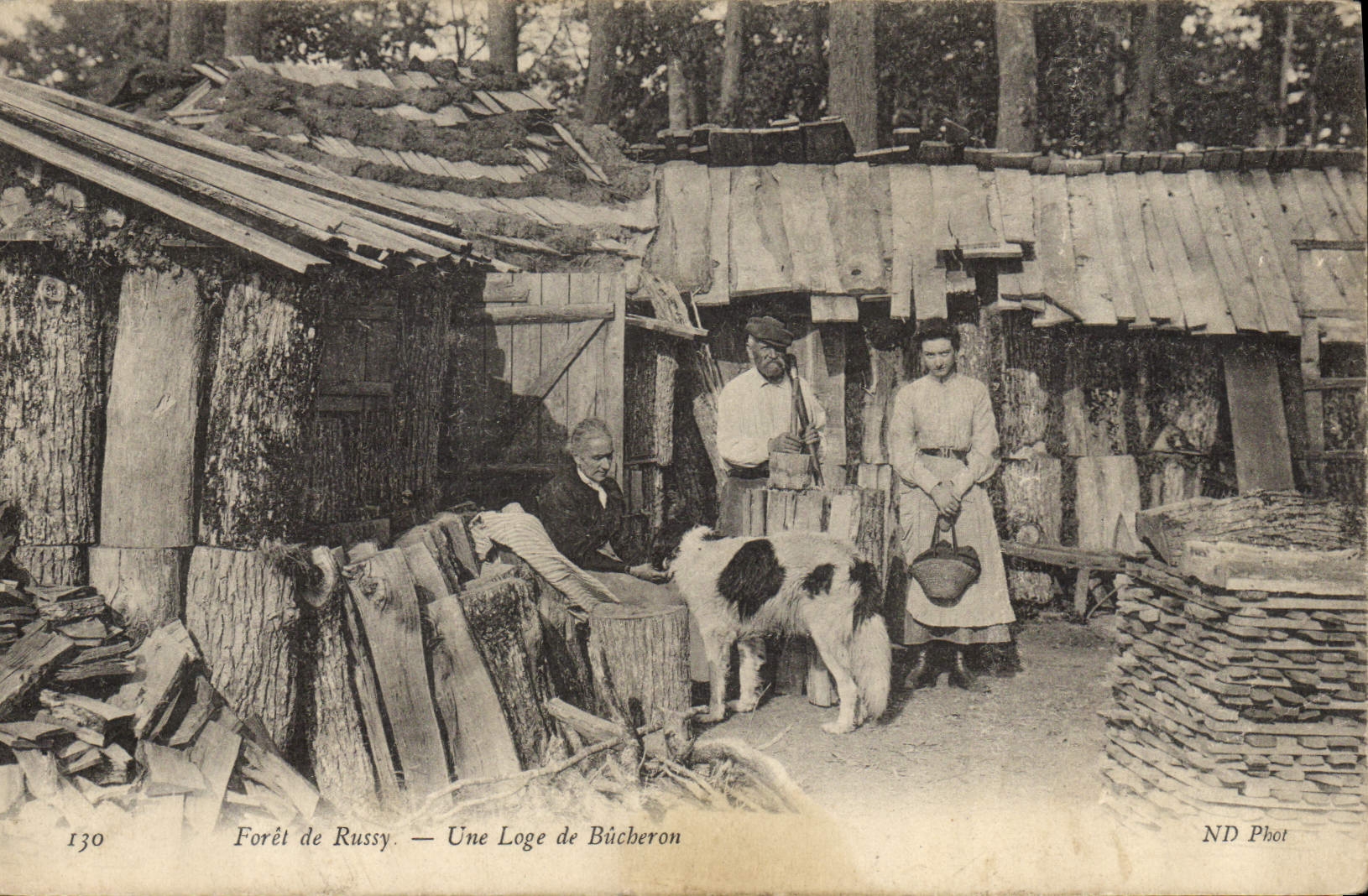 VINTAGE POSTCARD Drill of Russy a cabin of logger Dog