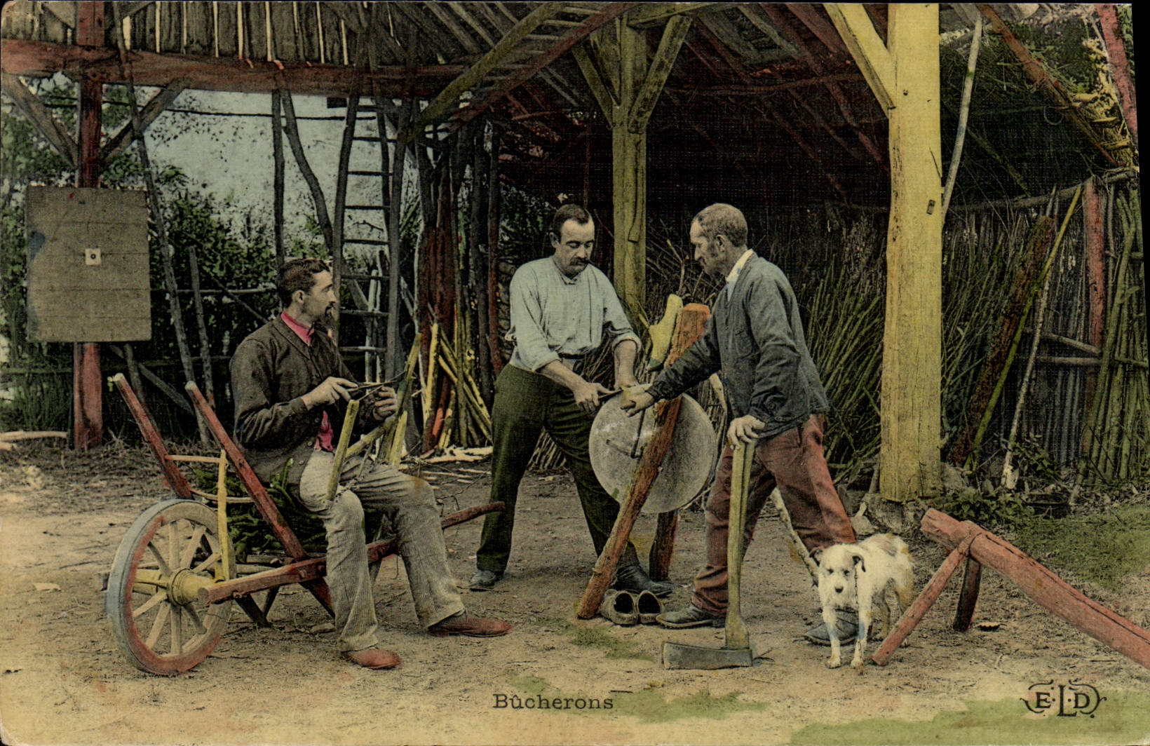 VINTAGE POSTCARD Loggers Dog