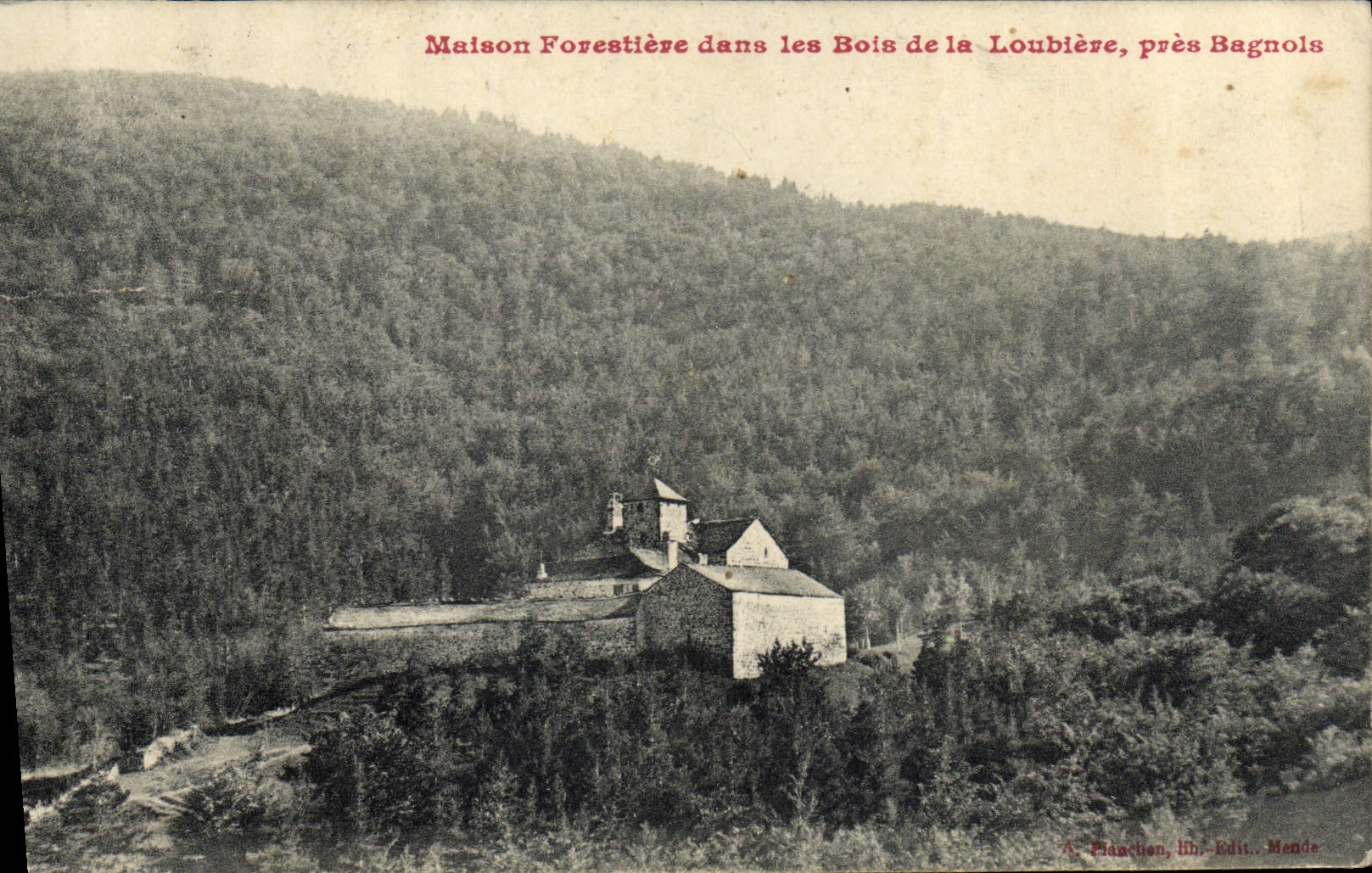 VINTAGE POSTCARD house forestiere in the wood of Loubiere close Sagnols
