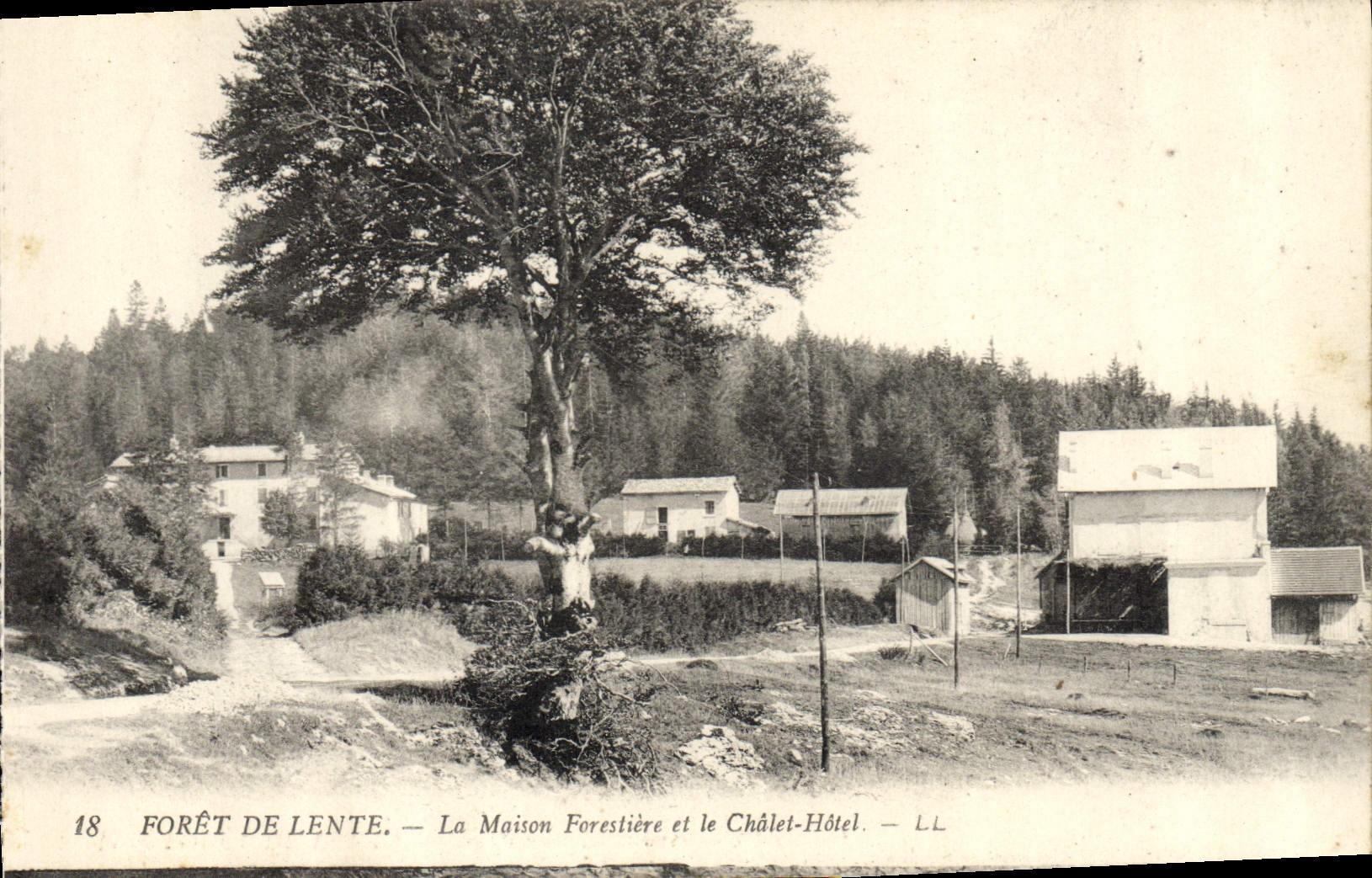 CPA Foret de Lente La Maison forestiere et le Chalet Hotel