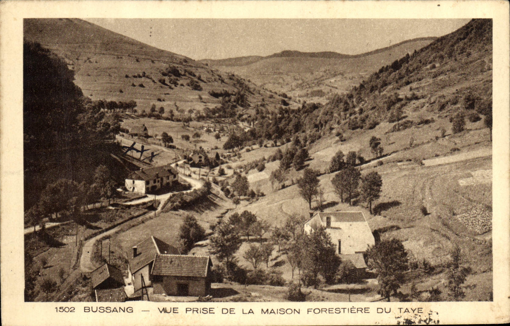 CPA Bussang Vue prise de la maison forestiere du Taye 