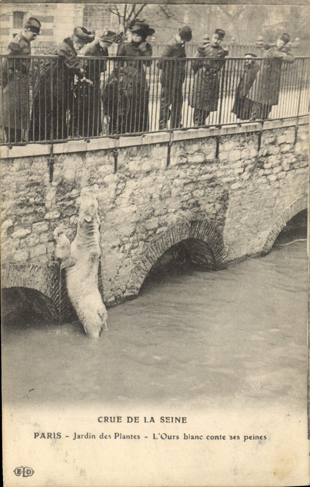 CPA Ours Paris Crue de la Seine Jardin des plantes L'ours blanc conte ses peines