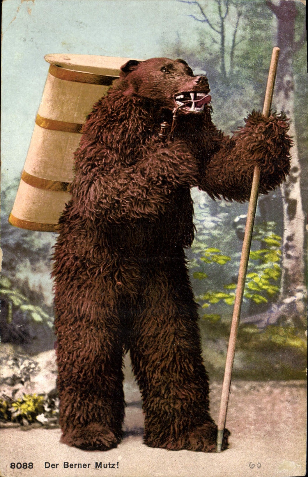 CPA Ours Der Berner Mutz 
