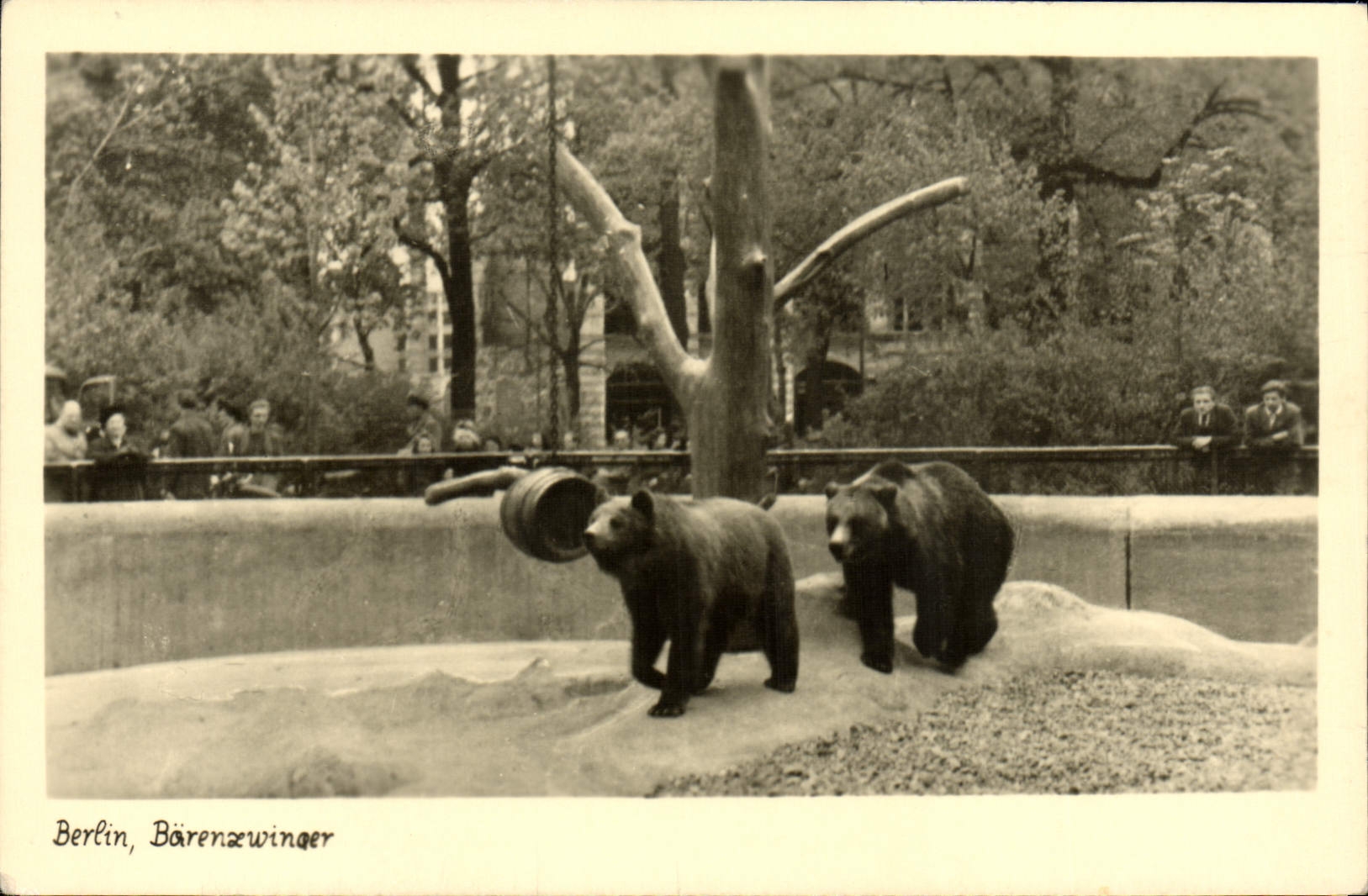 CPA Ours Berlin Barenwinger 