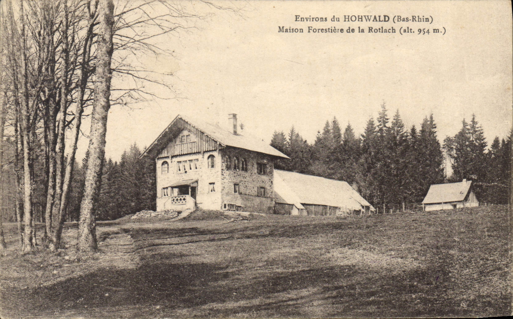 CPA Foret Environs de Hohwald Maison forestiere de la Rotlach