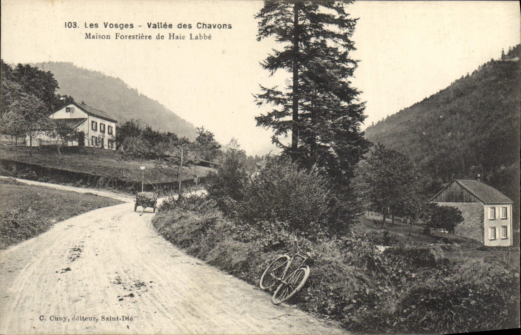 CPA Foret Vosges Vallee des Chavons Maison forestiere de Haie Labbe 