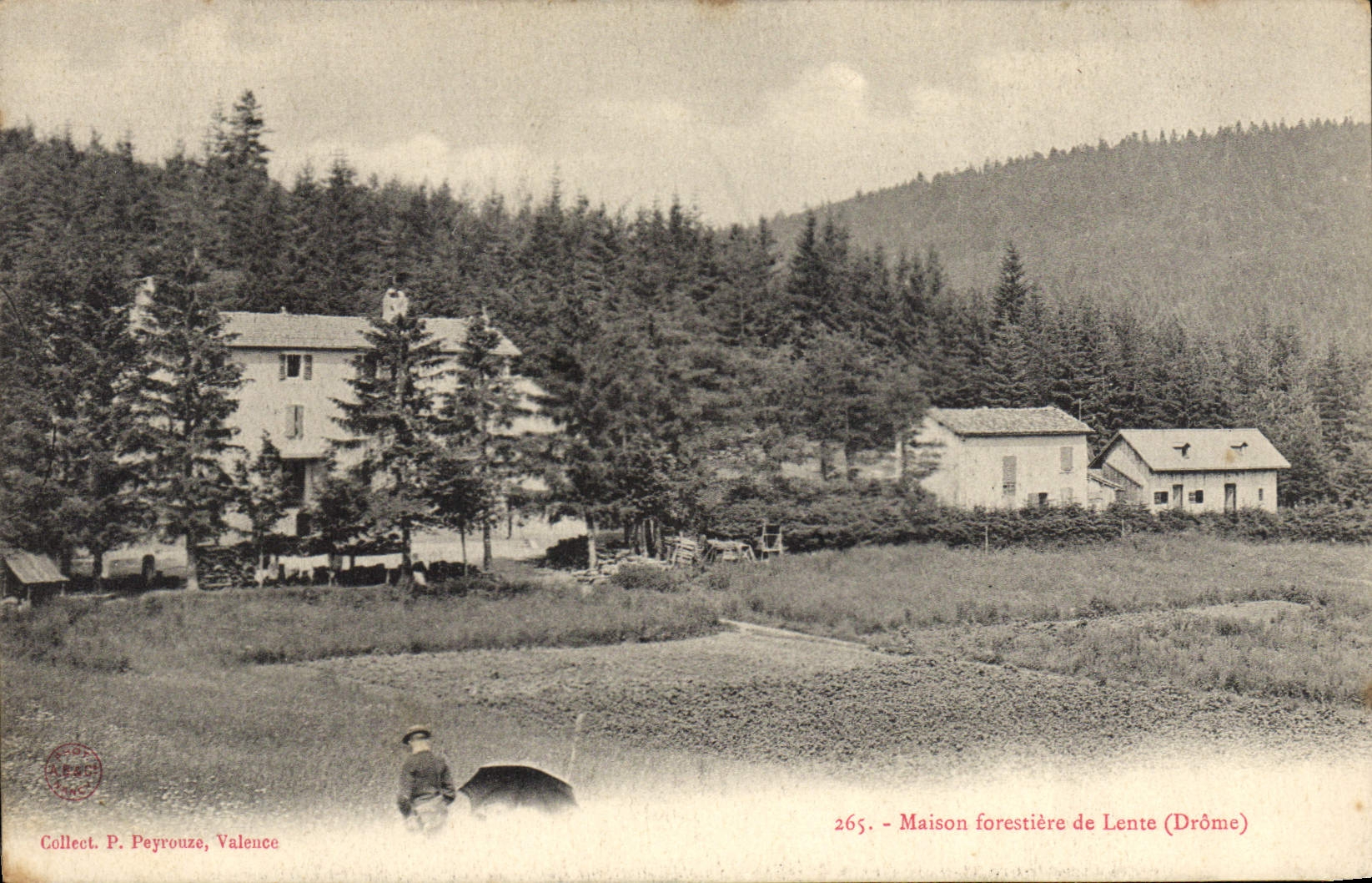 VINTAGE POSTCARD Drill House forestiere of Slow Drome