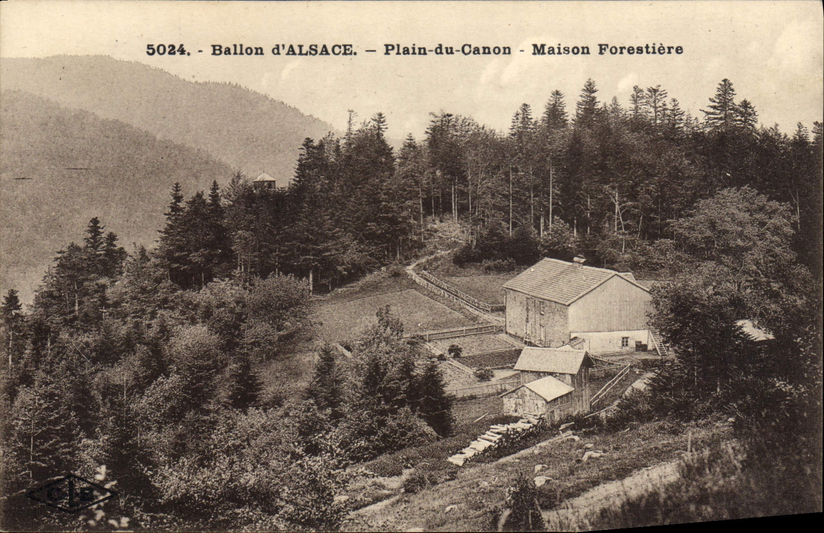 CPA Foret Ballon d'Alsace Plain du Canon Maison forestiere 