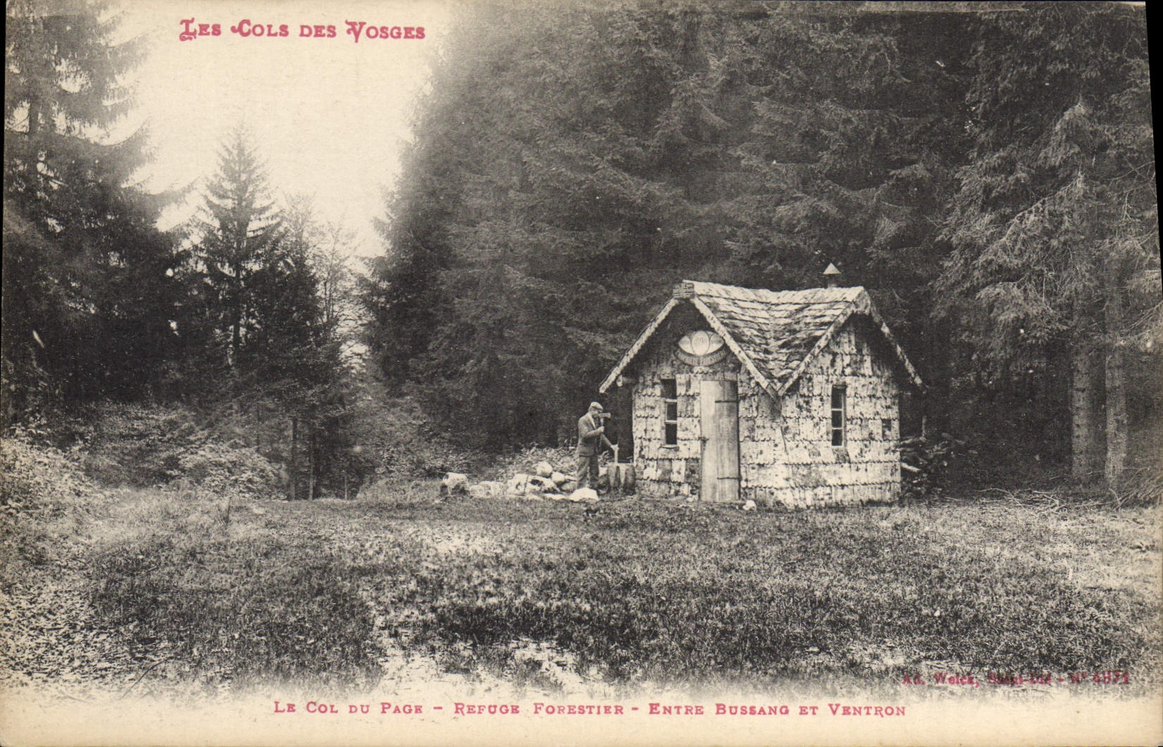 CPA Foret Cols des Vosges Le col du Page Refuge forestier Entre Bussang et Ventron 