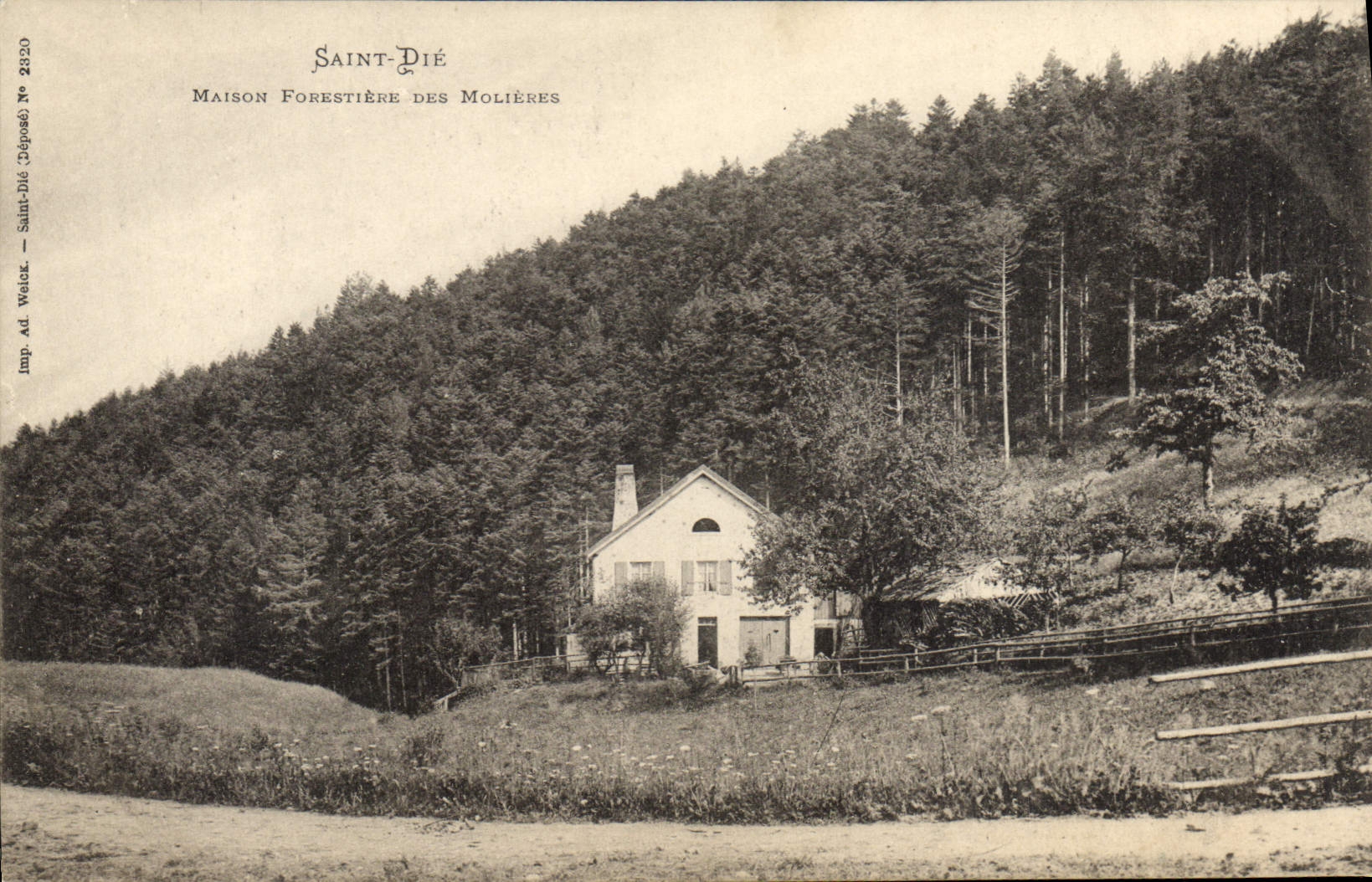 CPA Foret Saint Die Maison forestiere des Molieres 