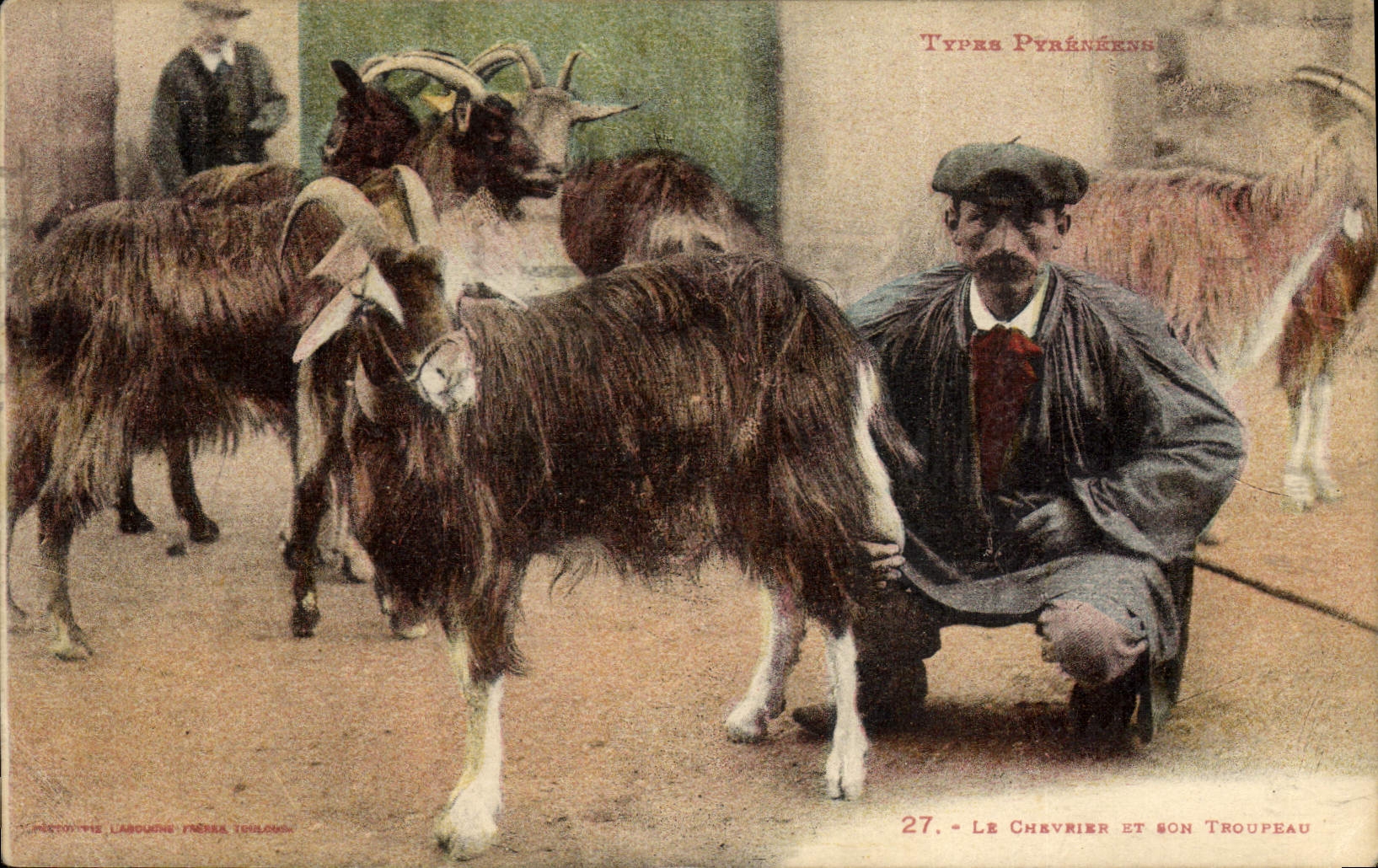VINTAGE POSTCARD Goat the chevrier and his Pyrenees herd