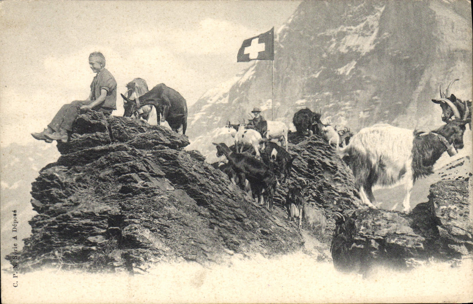 VINTAGE POSTCARD Goat Chevrier Swiss Child