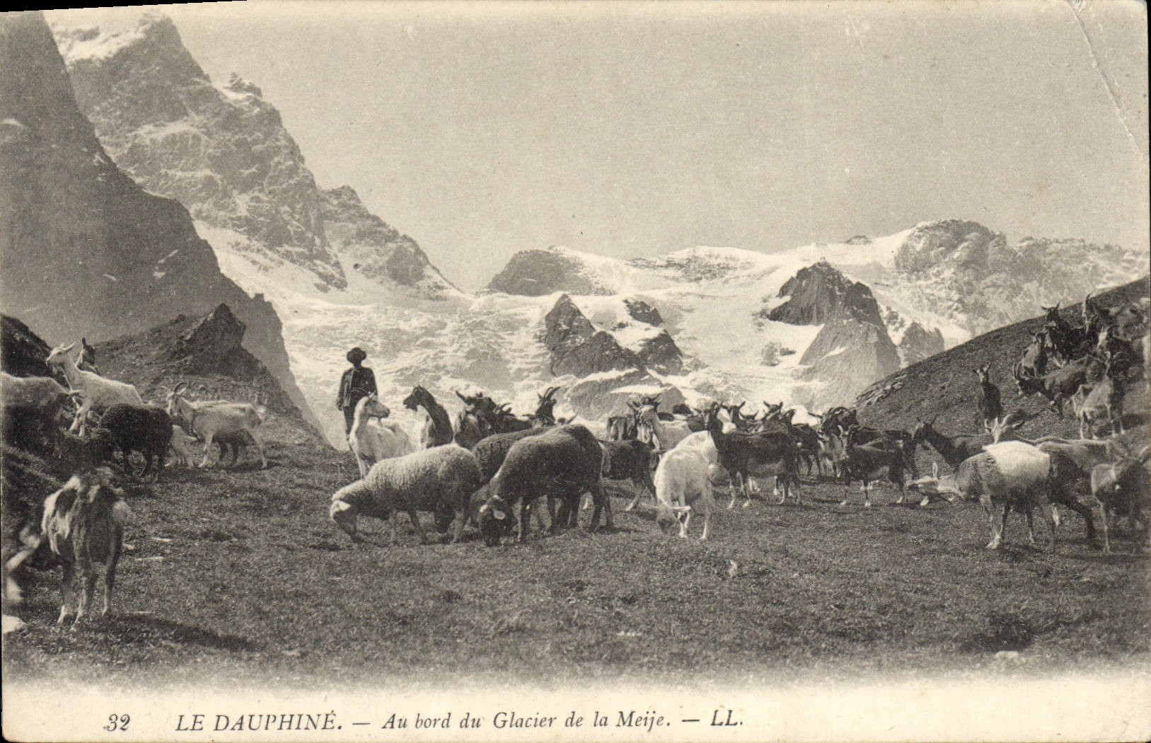 VINTAGE POSTCARD Goat the Dauphine one At the edge of the glacier of Meije