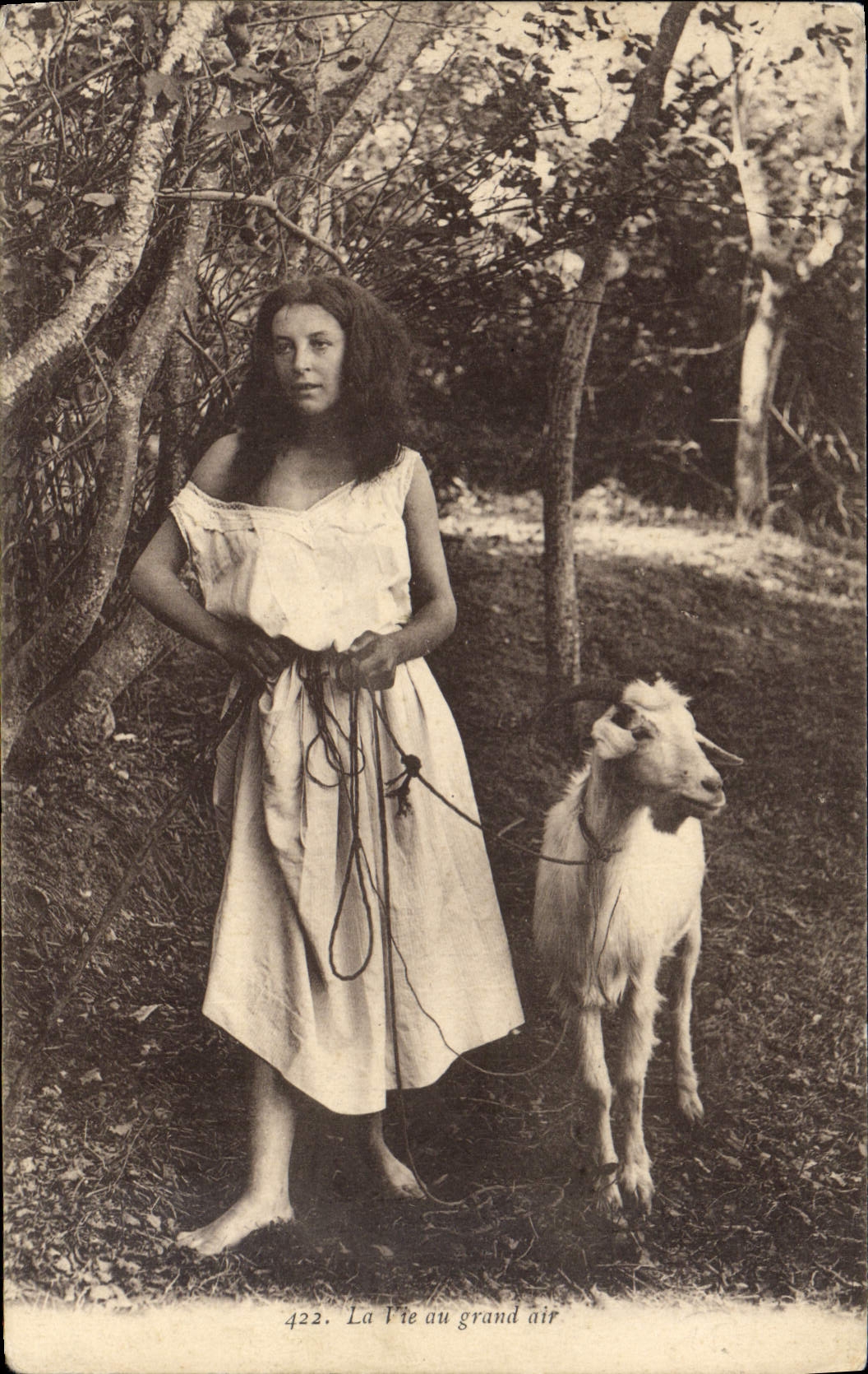 VINTAGE POSTCARD Goat life with the great outdoors