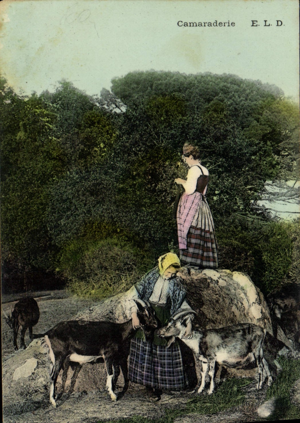 VINTAGE POSTCARD Goat Friendship Folklore