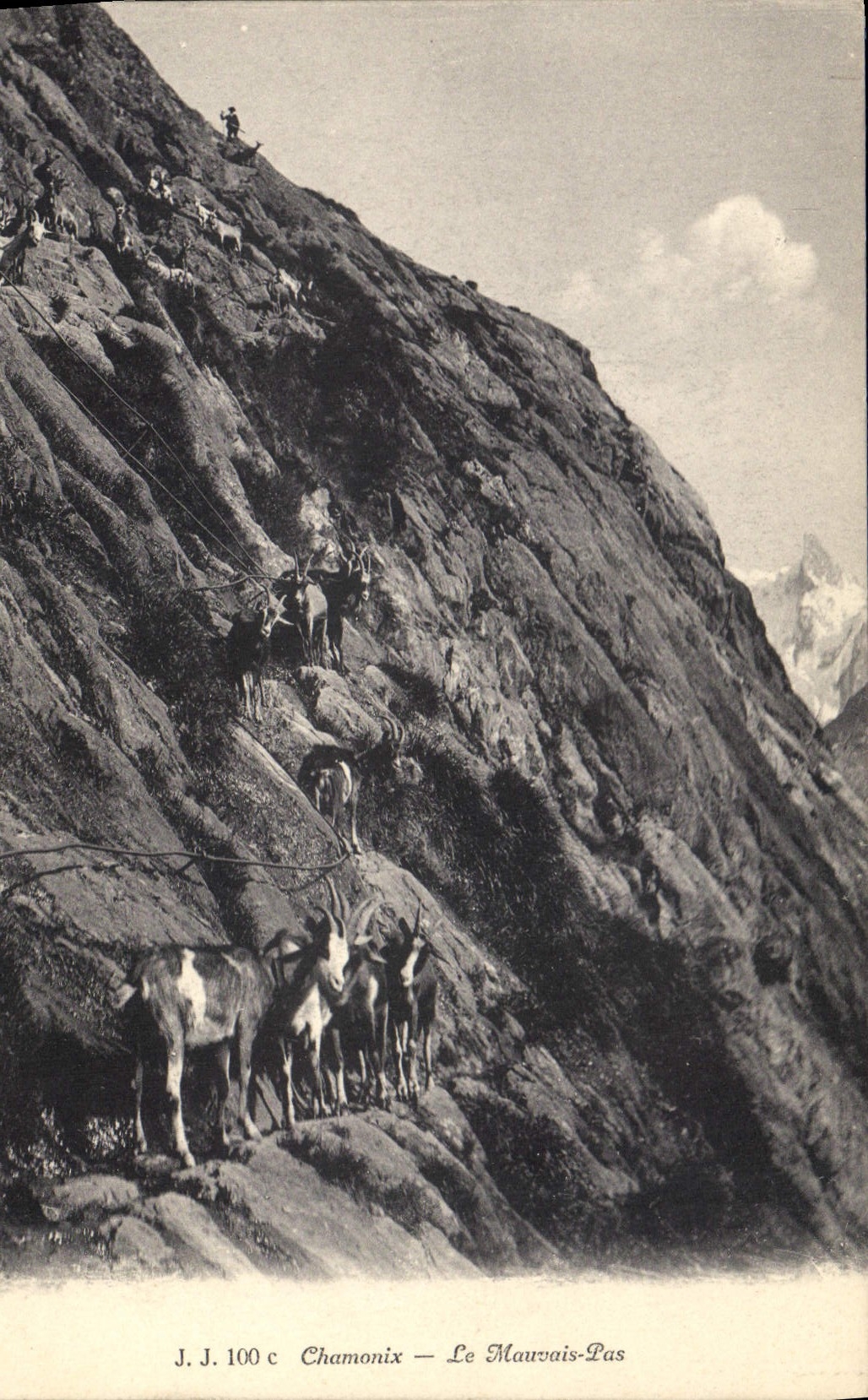 CPA Chevre Chamonix Le Mauvais pas 