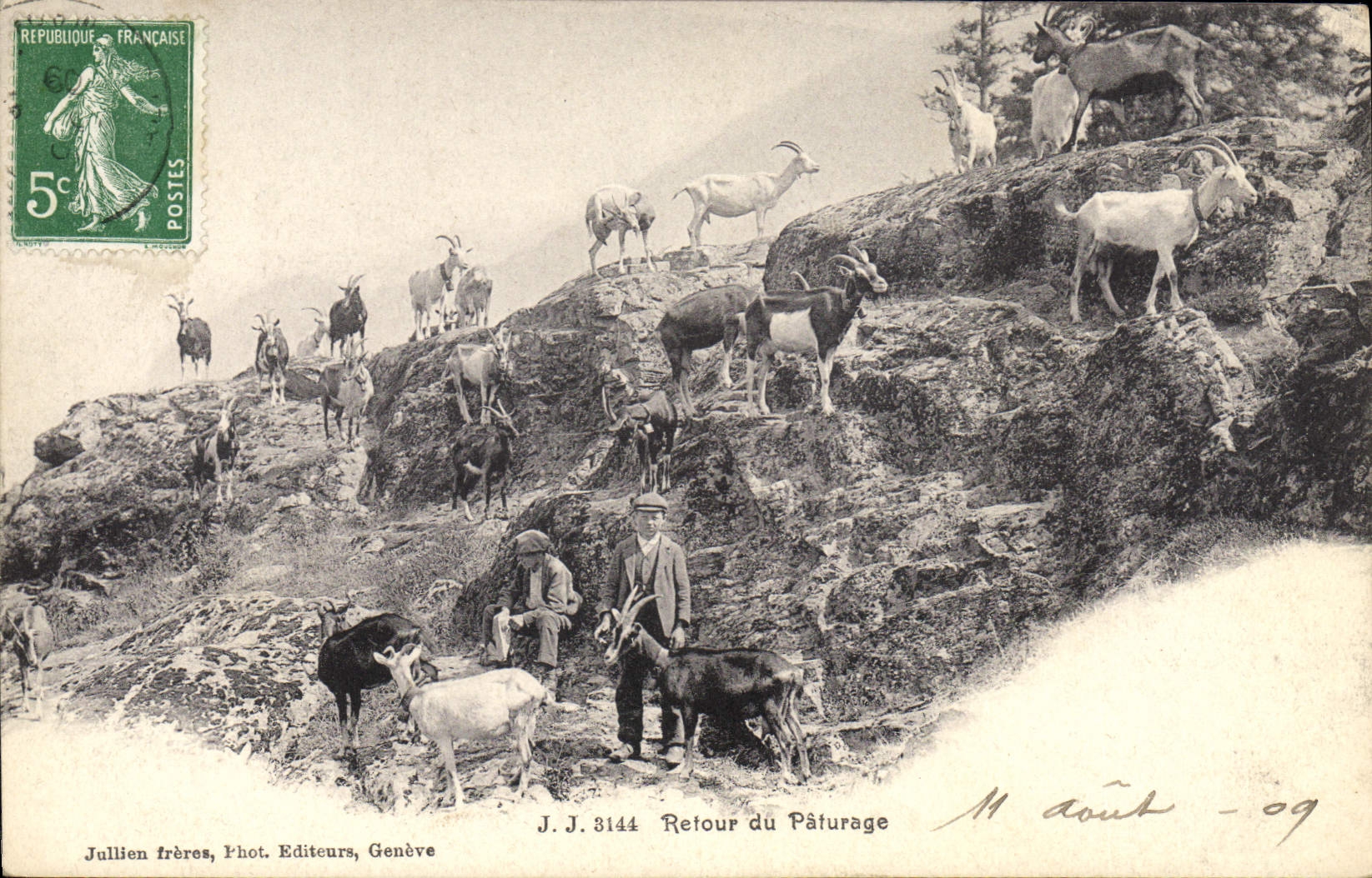 Vuelta de la cabra de la POSTAL de la VENDIMIA del pasto