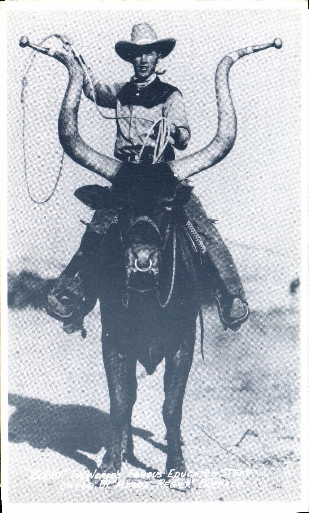 CPA Far West Cow Boy Bobby The world's famous educated steep Monte Reger Buffalo 