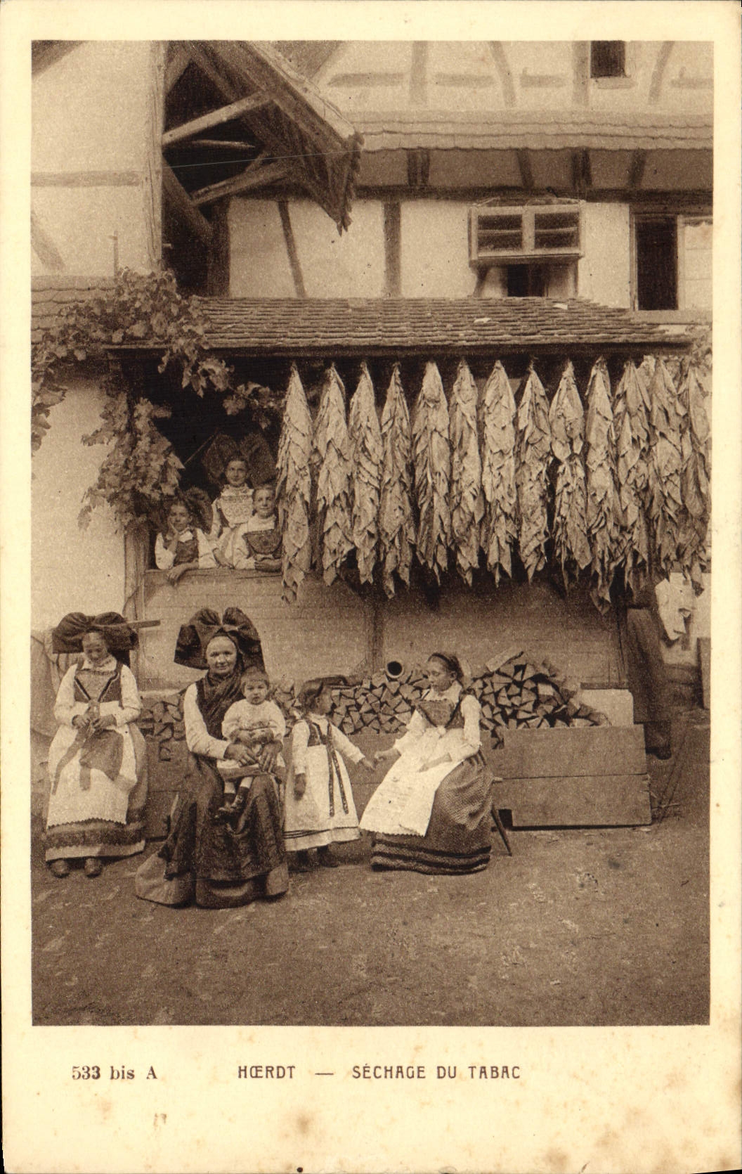 VINTAGE POSTCARD Tobacco Hoerdt Drying of the tobacco