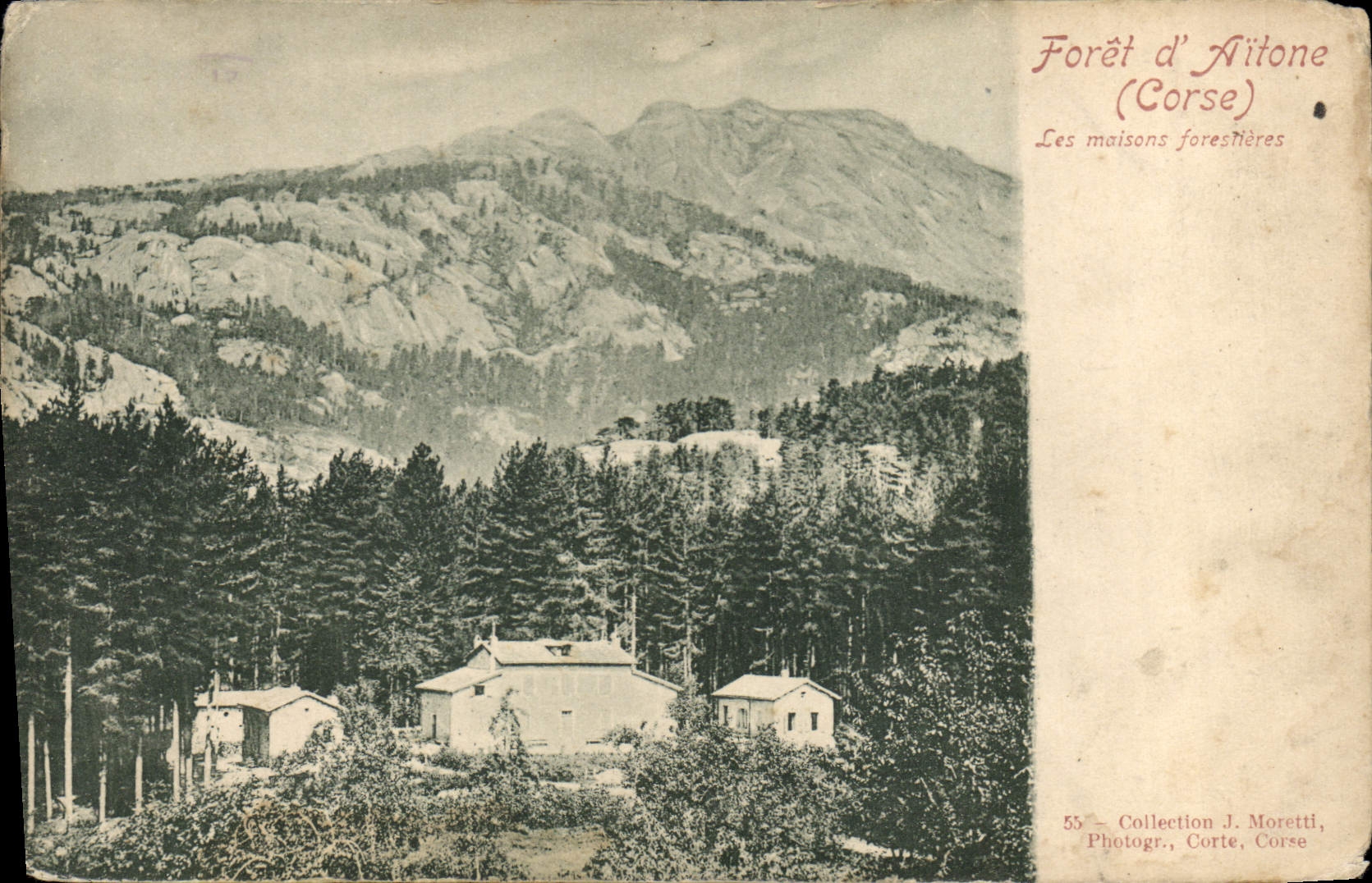 Taladro de Córcega de la POSTAL de la VENDIMIA de Aitone Córcega los forestieres de las casas