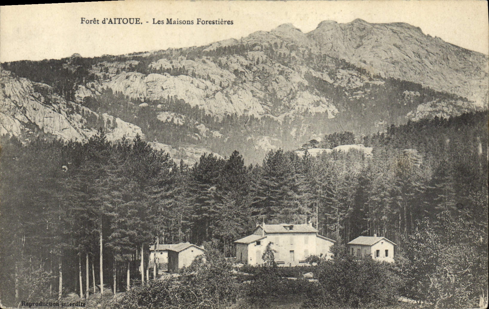 Taladro del taladro de la POSTAL de la VENDIMIA de Aitoue los forestieres Córcega Córcega de las casas