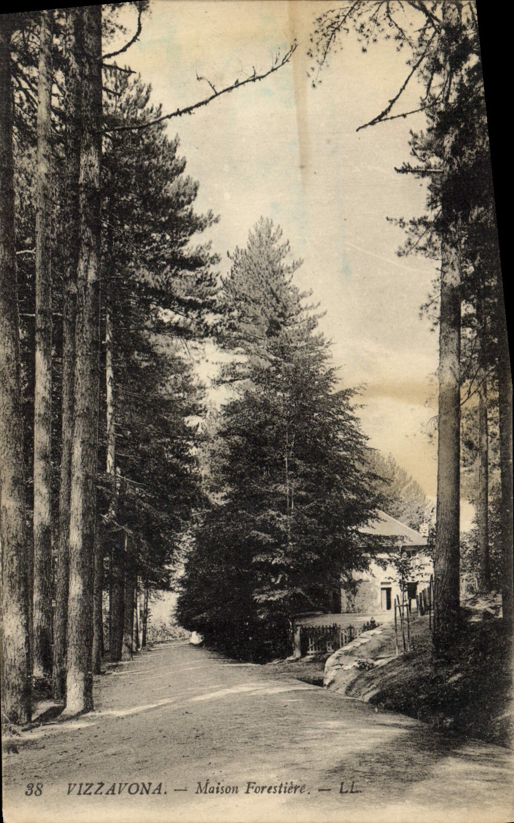 VINTAGE POSTCARD Drill Vizzavona House forestiere