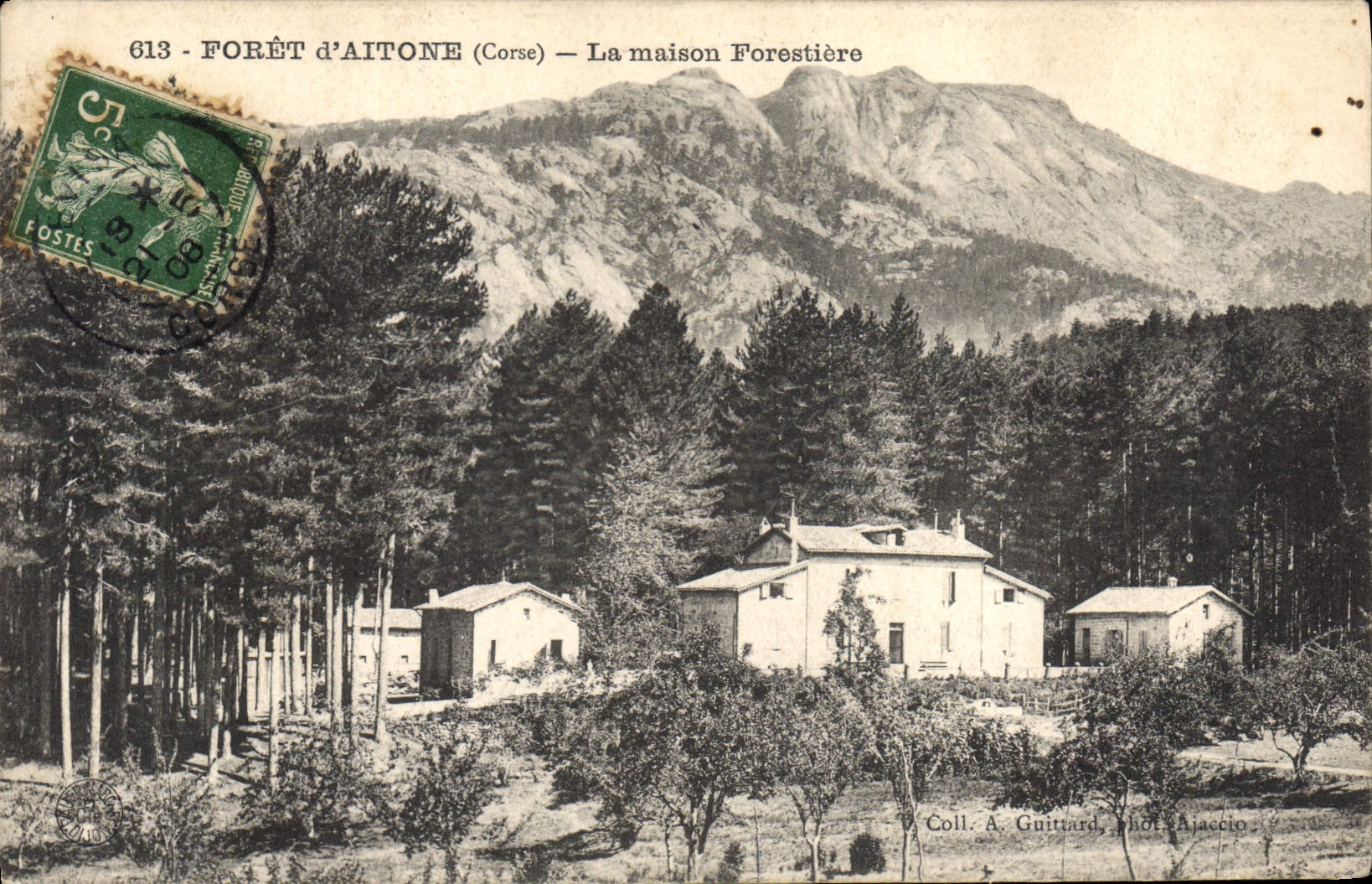 Taladro de Córcega de la POSTAL de la VENDIMIA de Aitone Córcega el forestiere de la casa