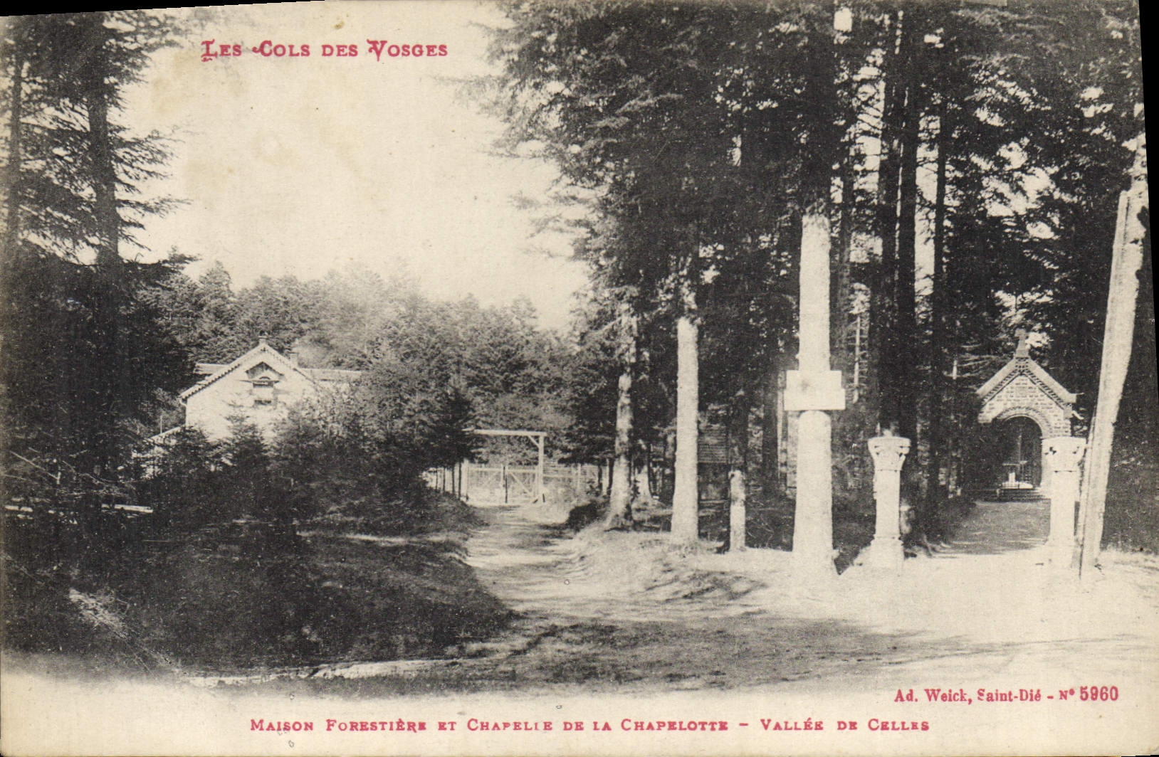 CPA Foret Cols des Vosges Maison forestiere et chapelle de la Chapelotte Vallee de Celles 