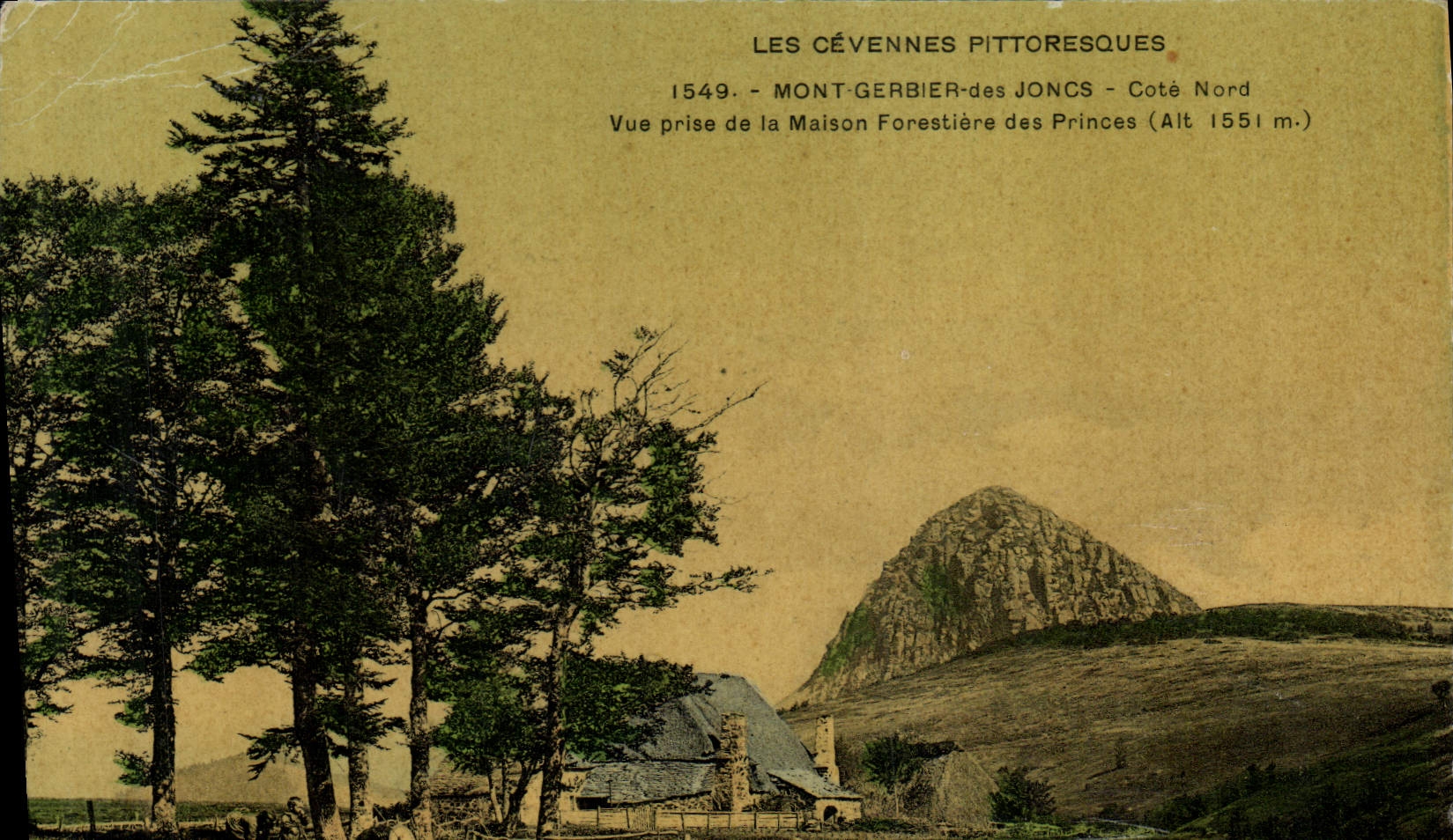 La POSTAL Foret de la VENDIMIA el Cevennes Mont Gerbier dimensiona a príncipes norteños del forestiere de la casa vista