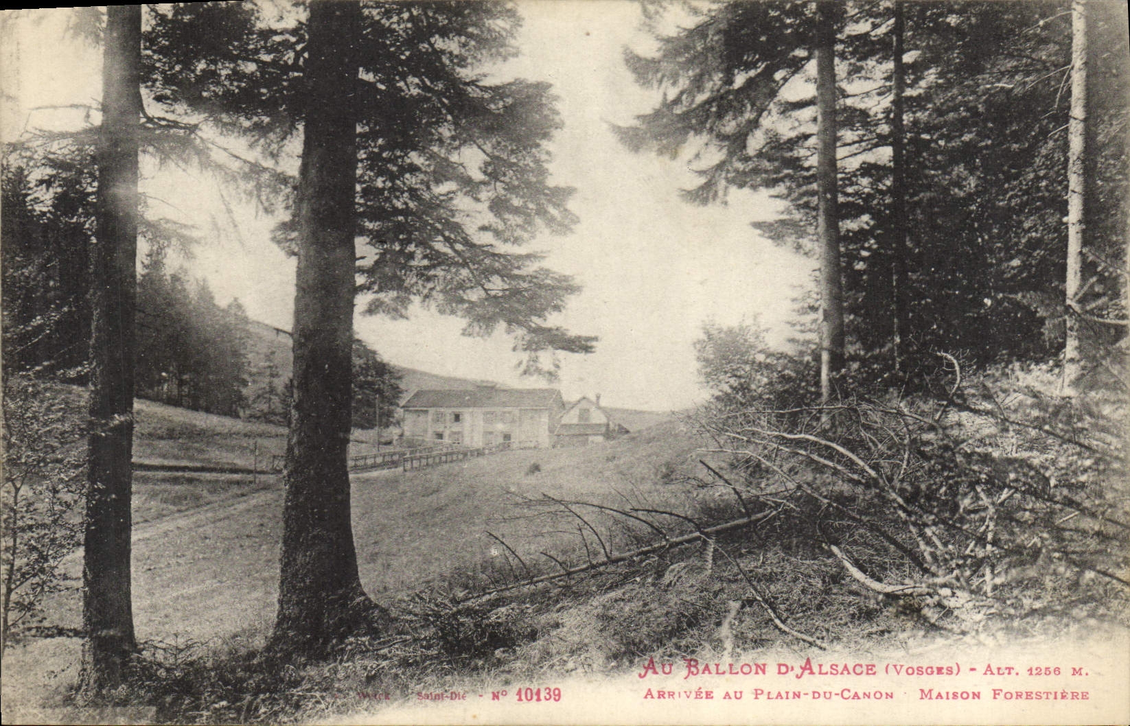 CPA Foret Ballon d'Alsace Arrivee au Plain du Canyon Maison forestiere 