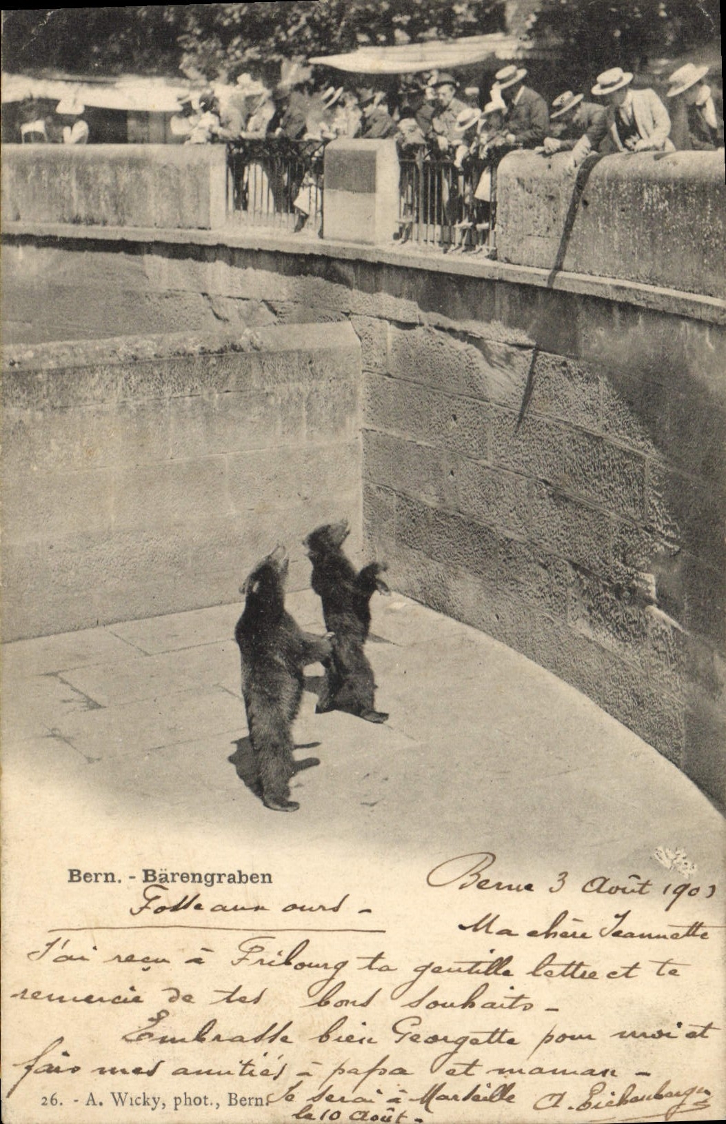 CPA Ours Bern Barengraben 