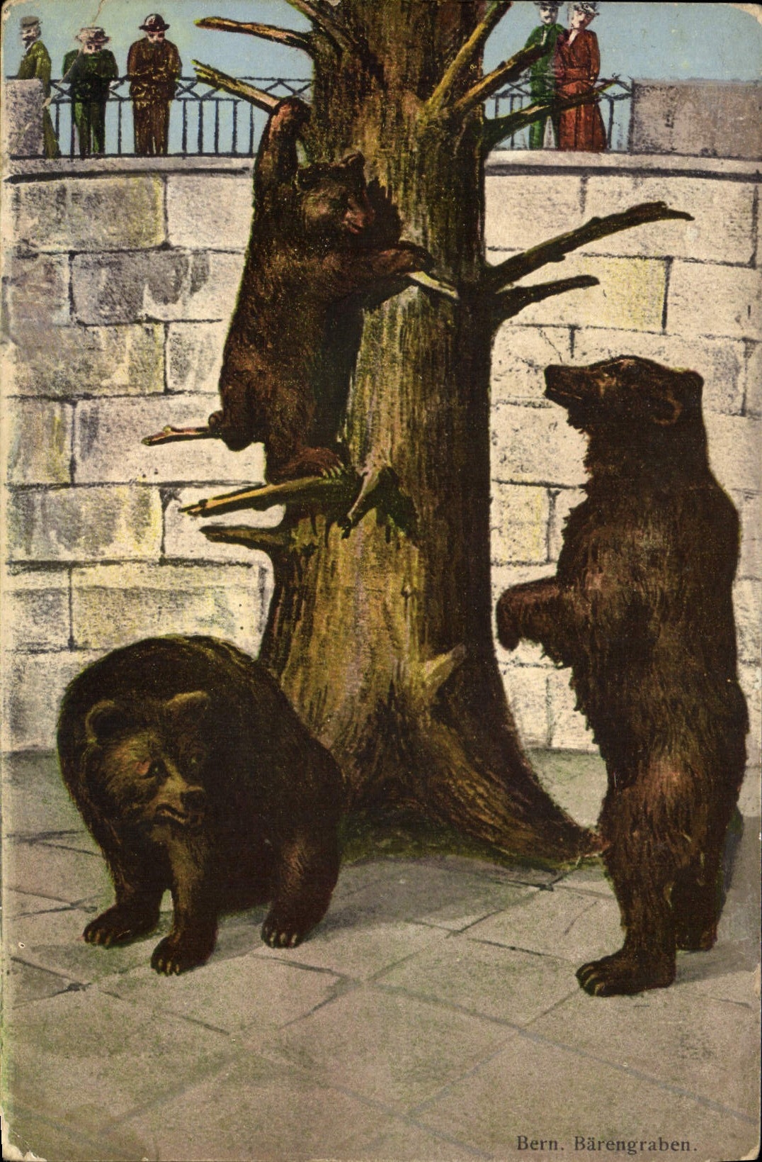 CPA Ours Bern Barengraben