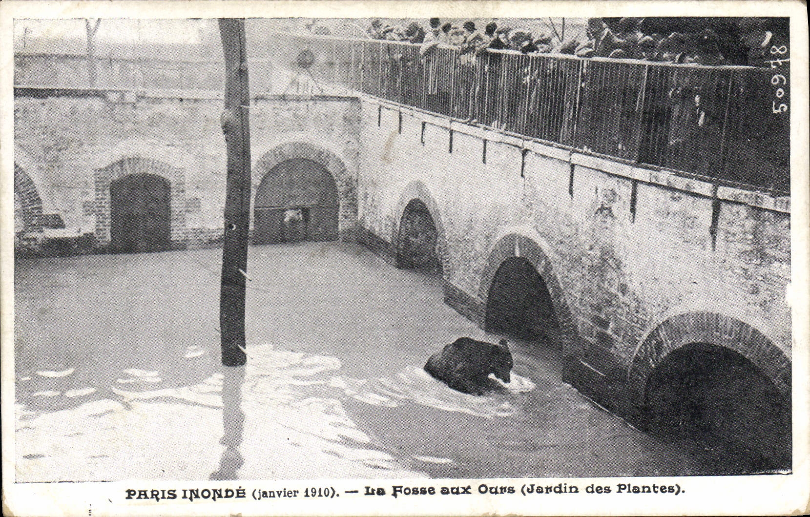CPA Ours Paris inonde La fosse aux ours Jardin des plantes