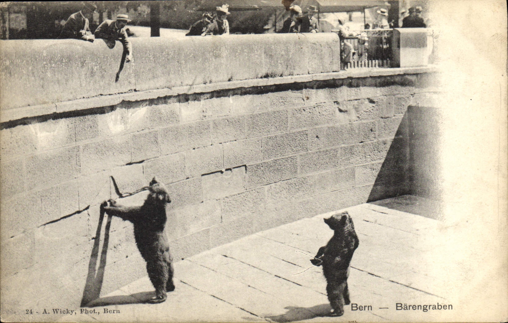 CPA Ours Bern Barengraben