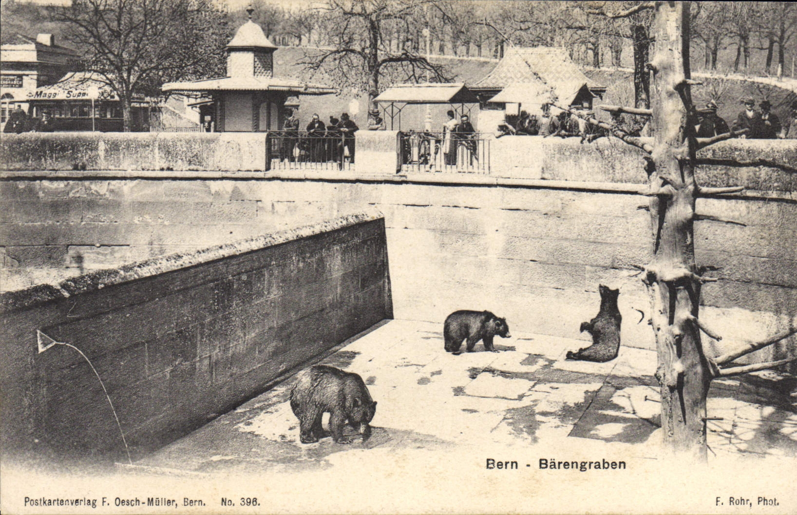 CPA Ours Bern Barengraben
