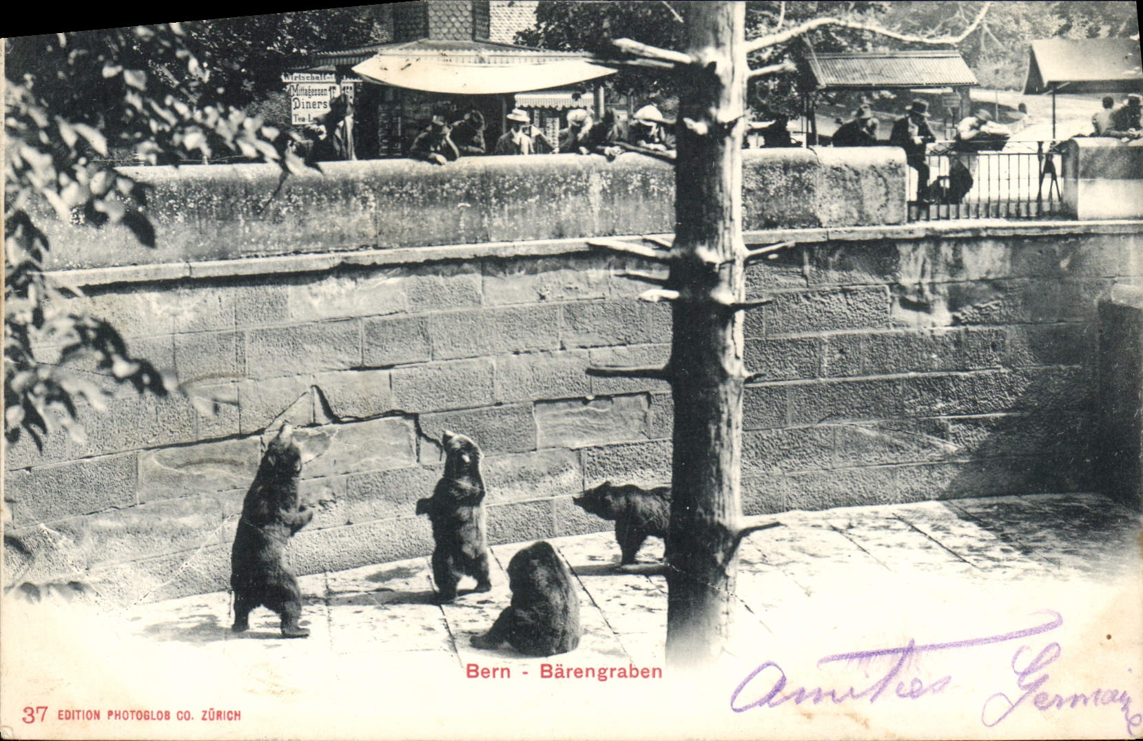 CPA Ours Bern Barengraben